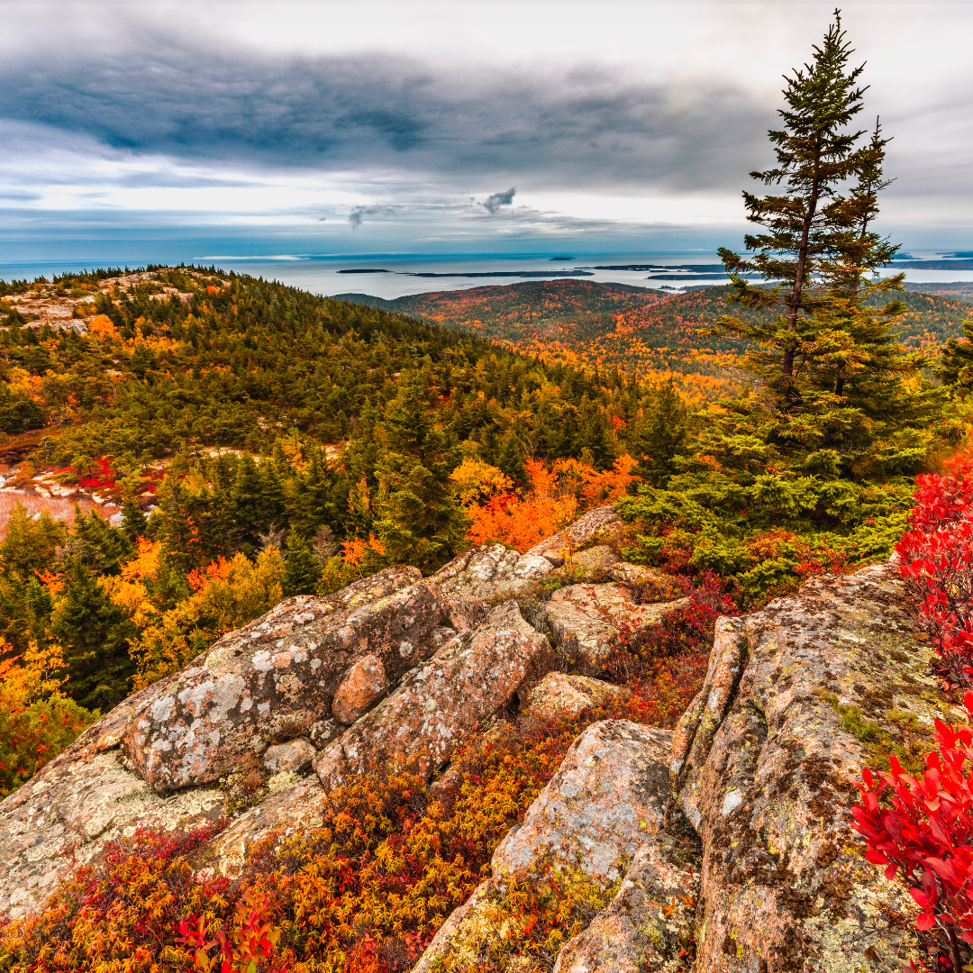pictures with fall colors
