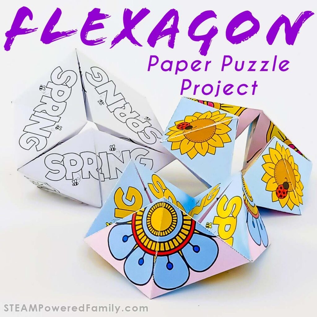 Build A Flexagon Paper Toy Hands On Math Discovery And Play