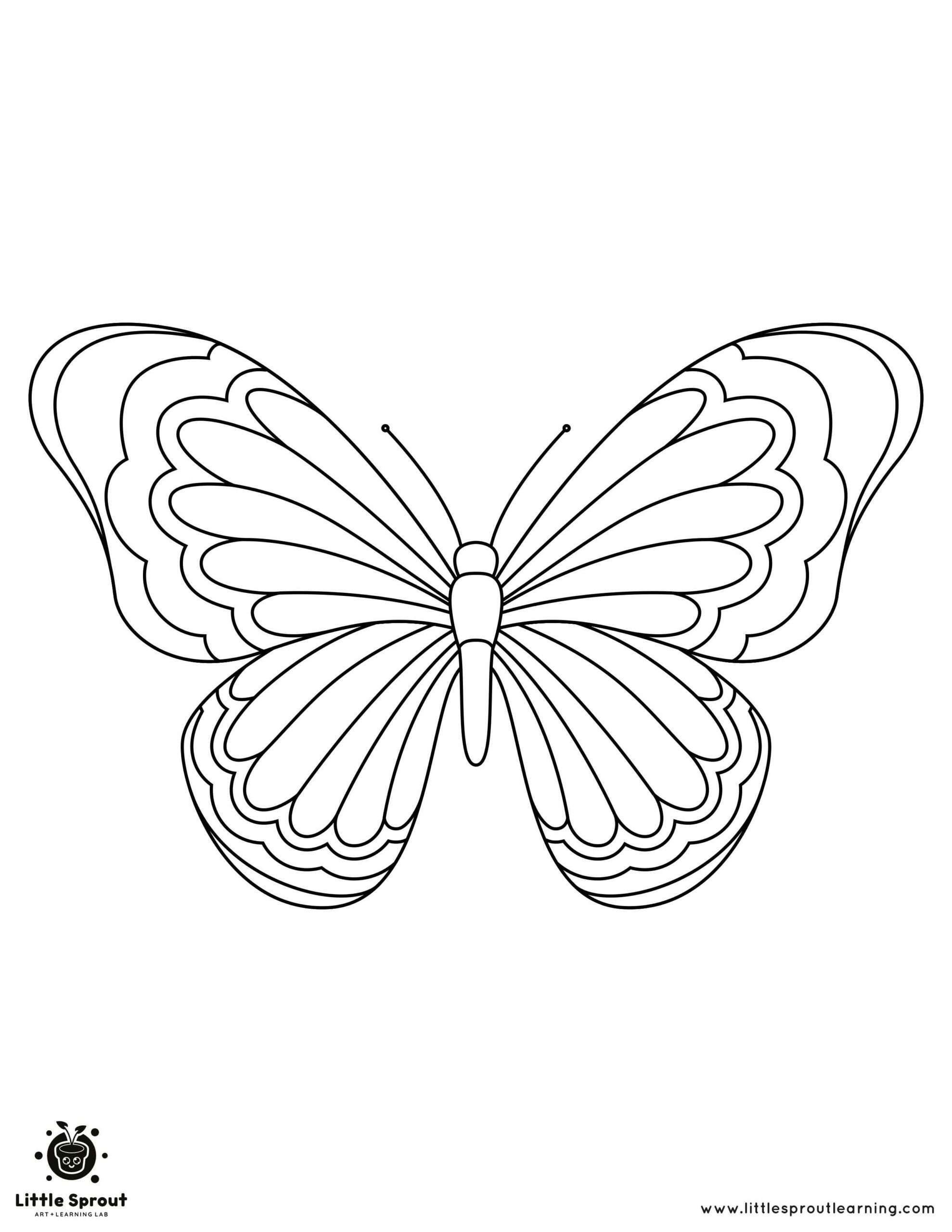 butterfly coloring printable