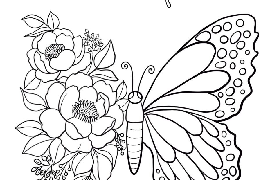 Butterfly Printable Coloring Sheet Coloring Pages Kids