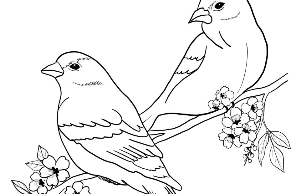 Buy Birds Printable Coloring Sheet Coloring Pages Kids Coloring Pages Kids Summer Activity Birds Pictures Online In India Etsy