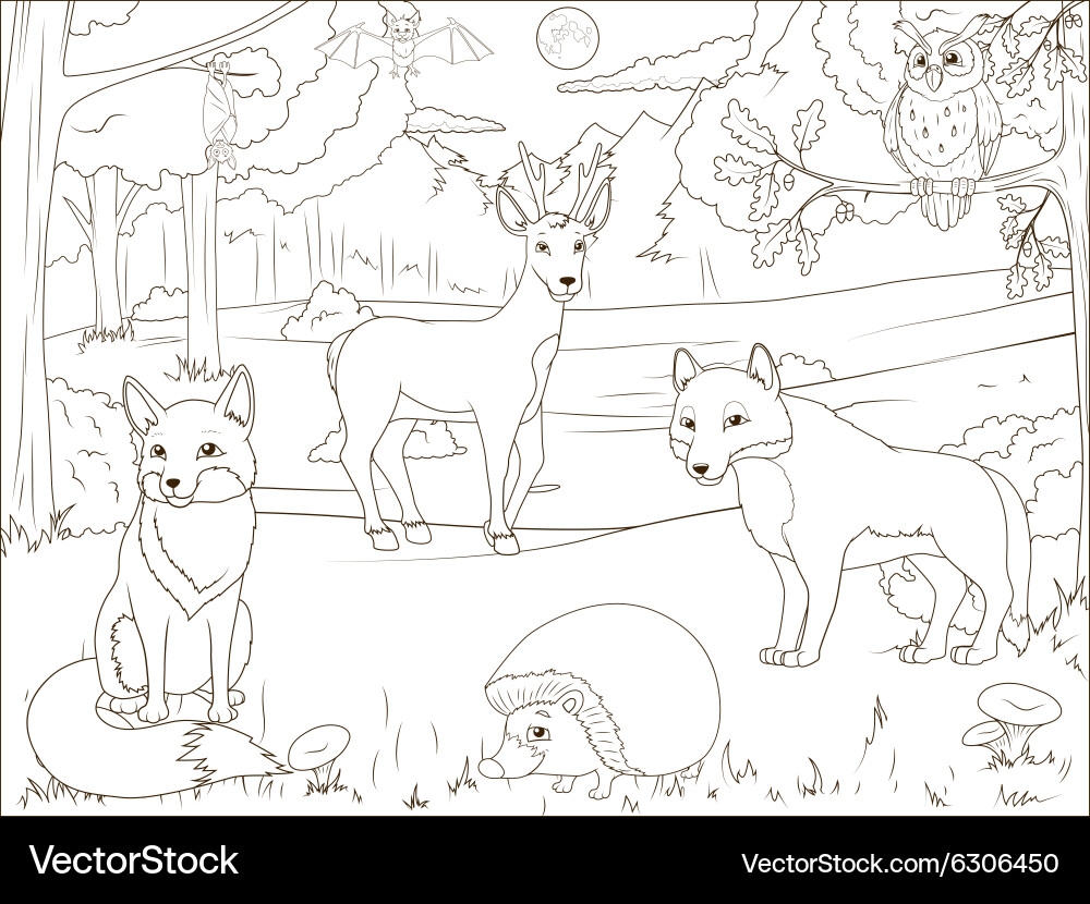 forest animals coloring sheets