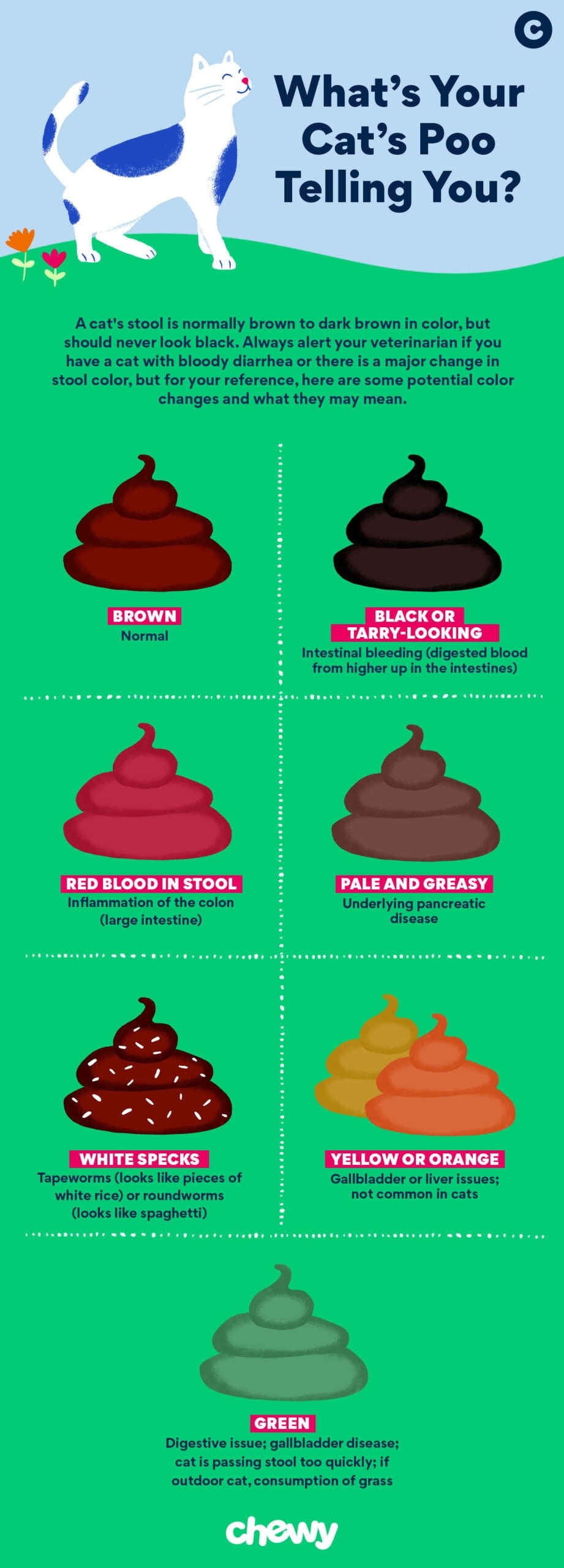 cat poop color