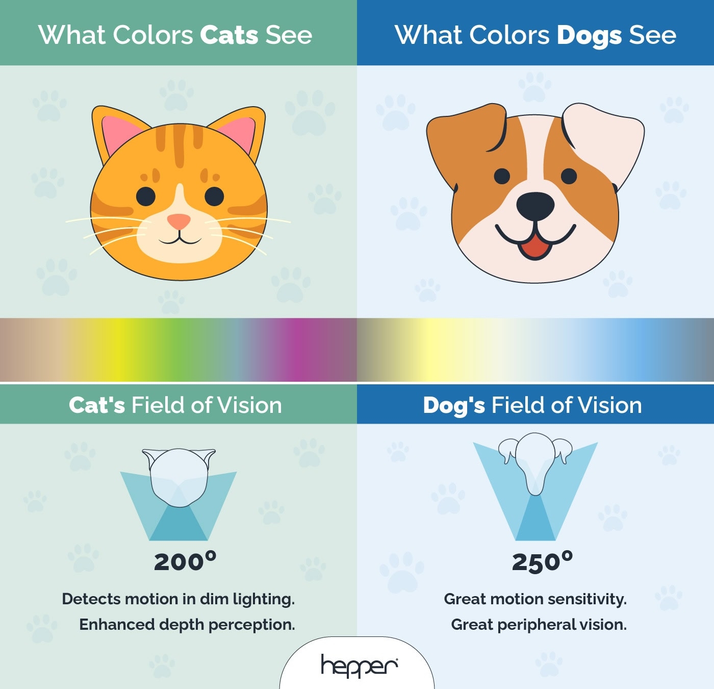 Cat Vision Vs Dog Vision Who Has The Better Eyesight Vet 