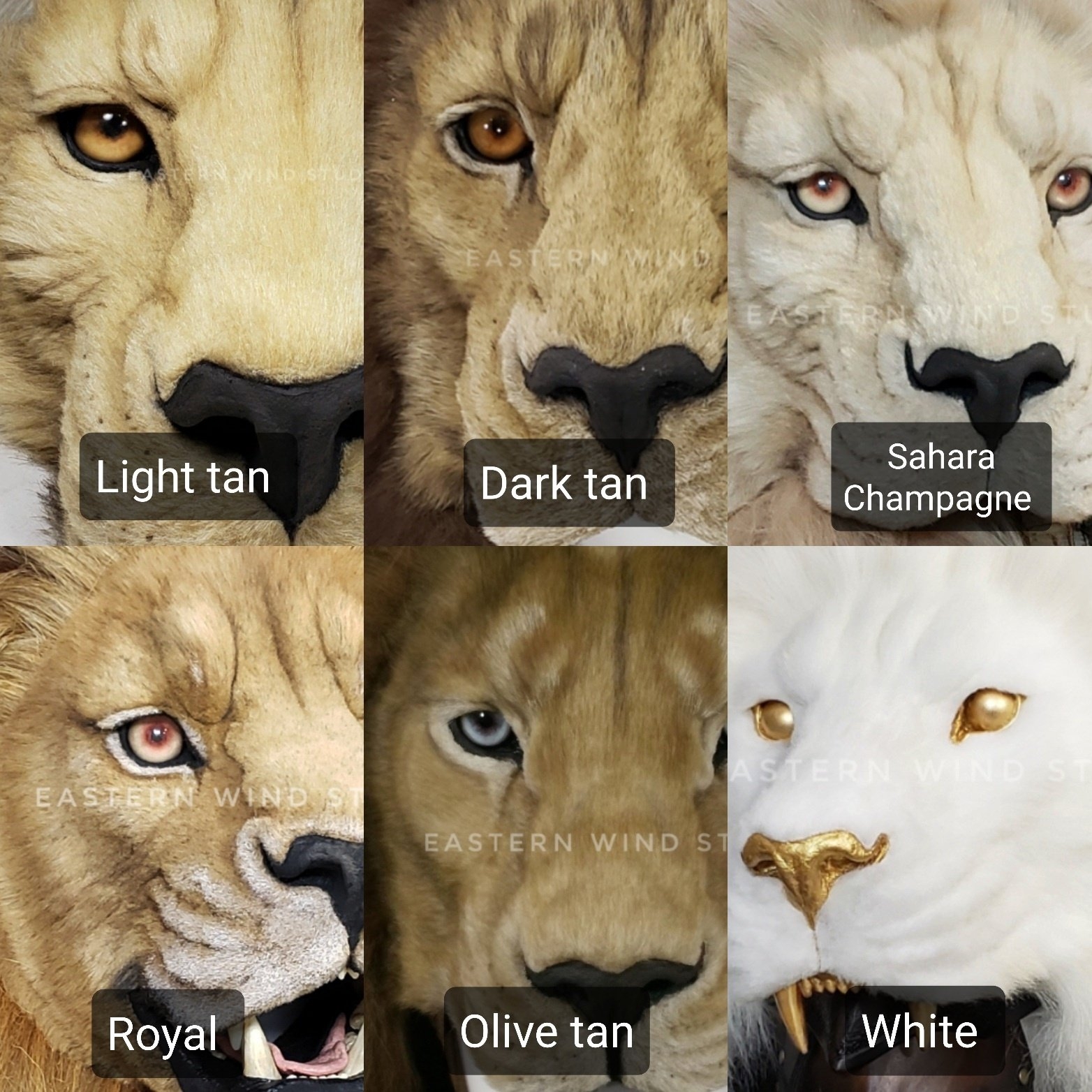 lion fur color