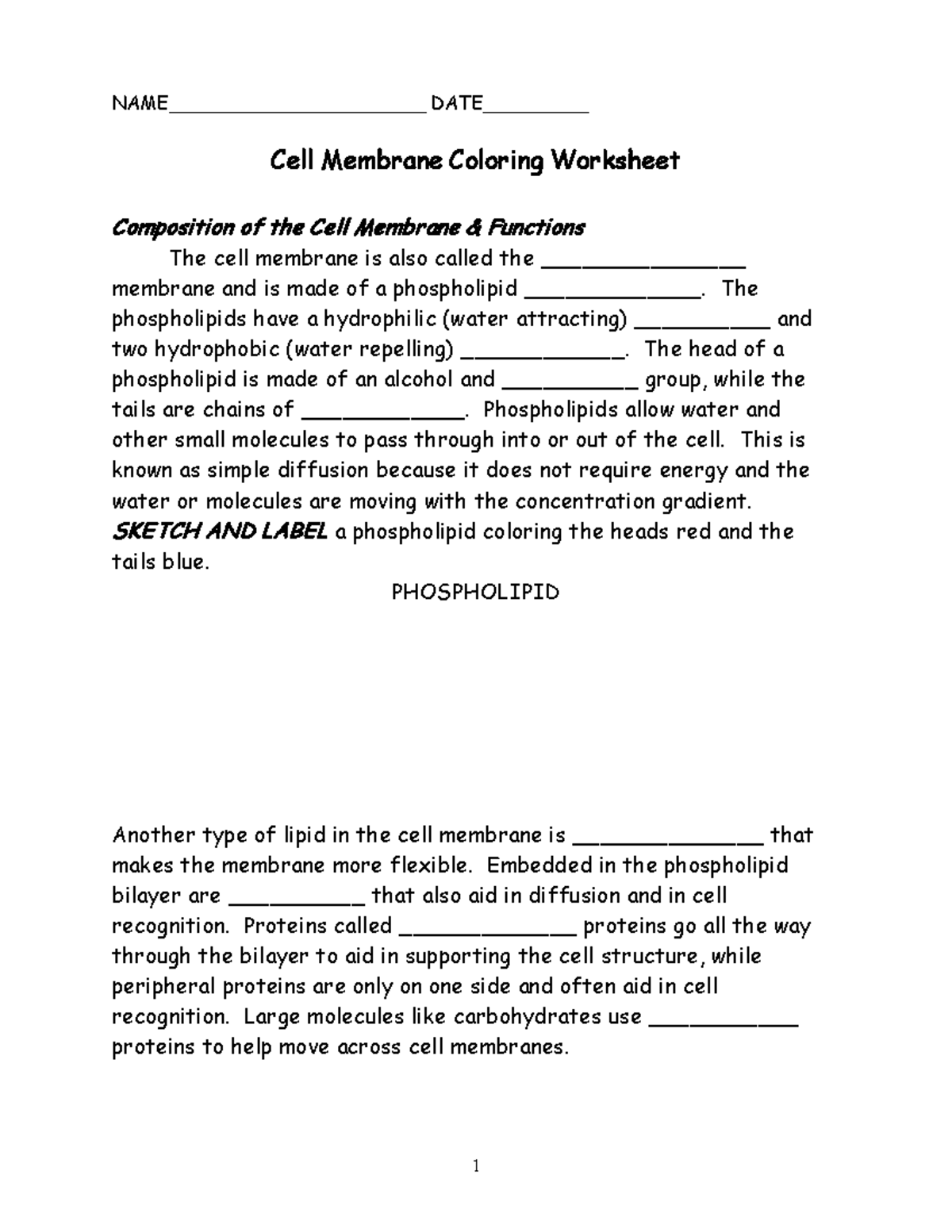 Cell Membrane Worksheet NAME DATE 