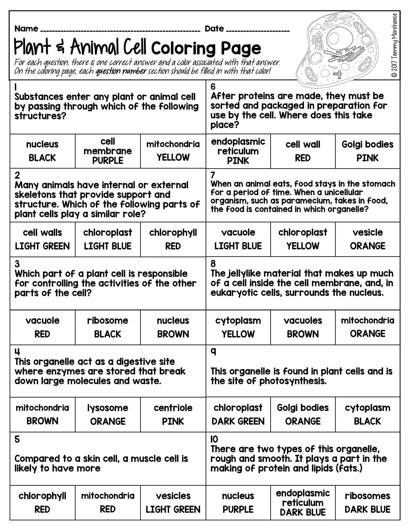 animal cell coloring key answers