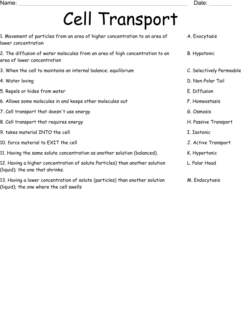 cell transport worksheet