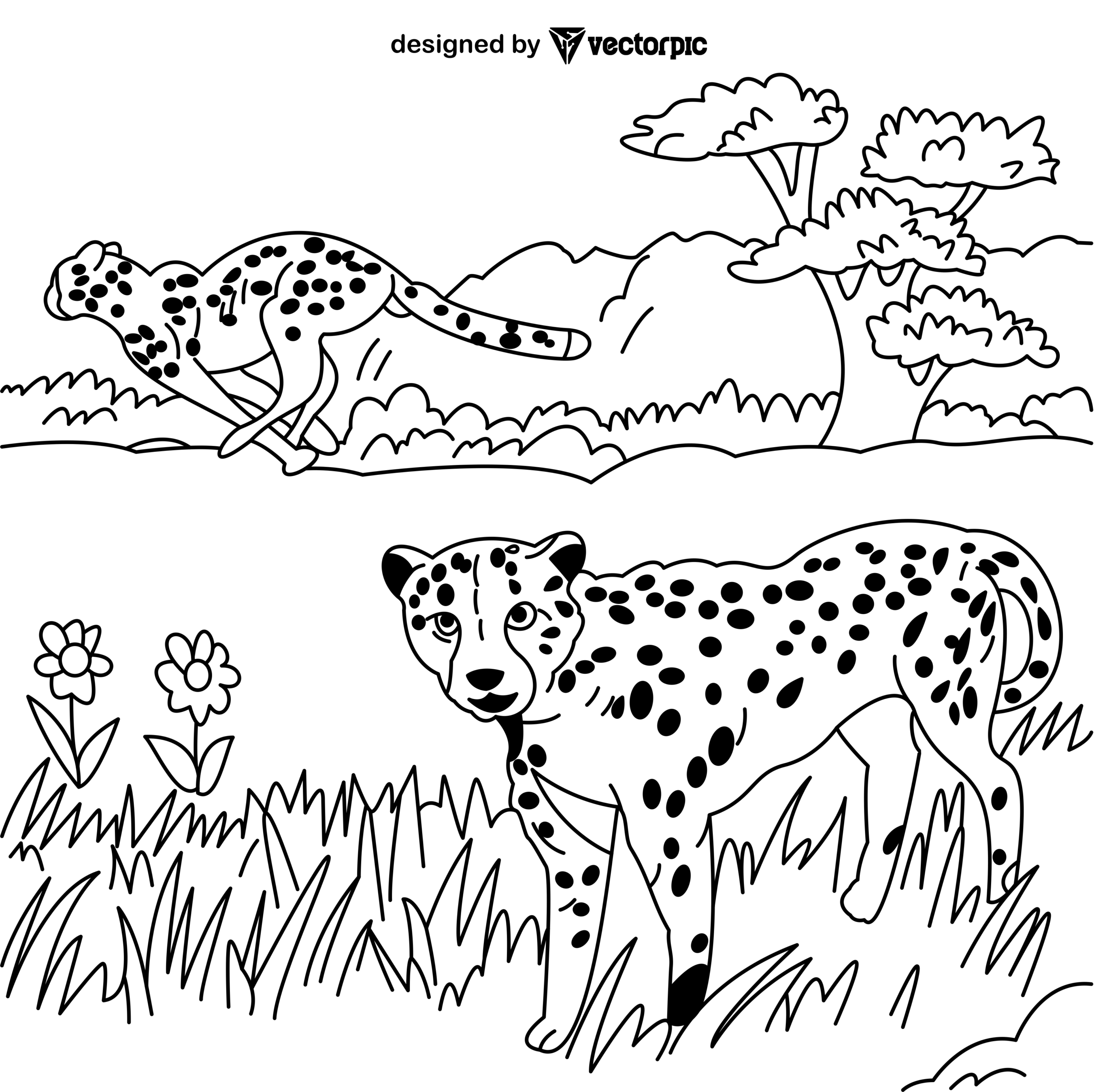 Cheetah Animal Coloring Pages For Kids U0026 Adults Design Free Vector