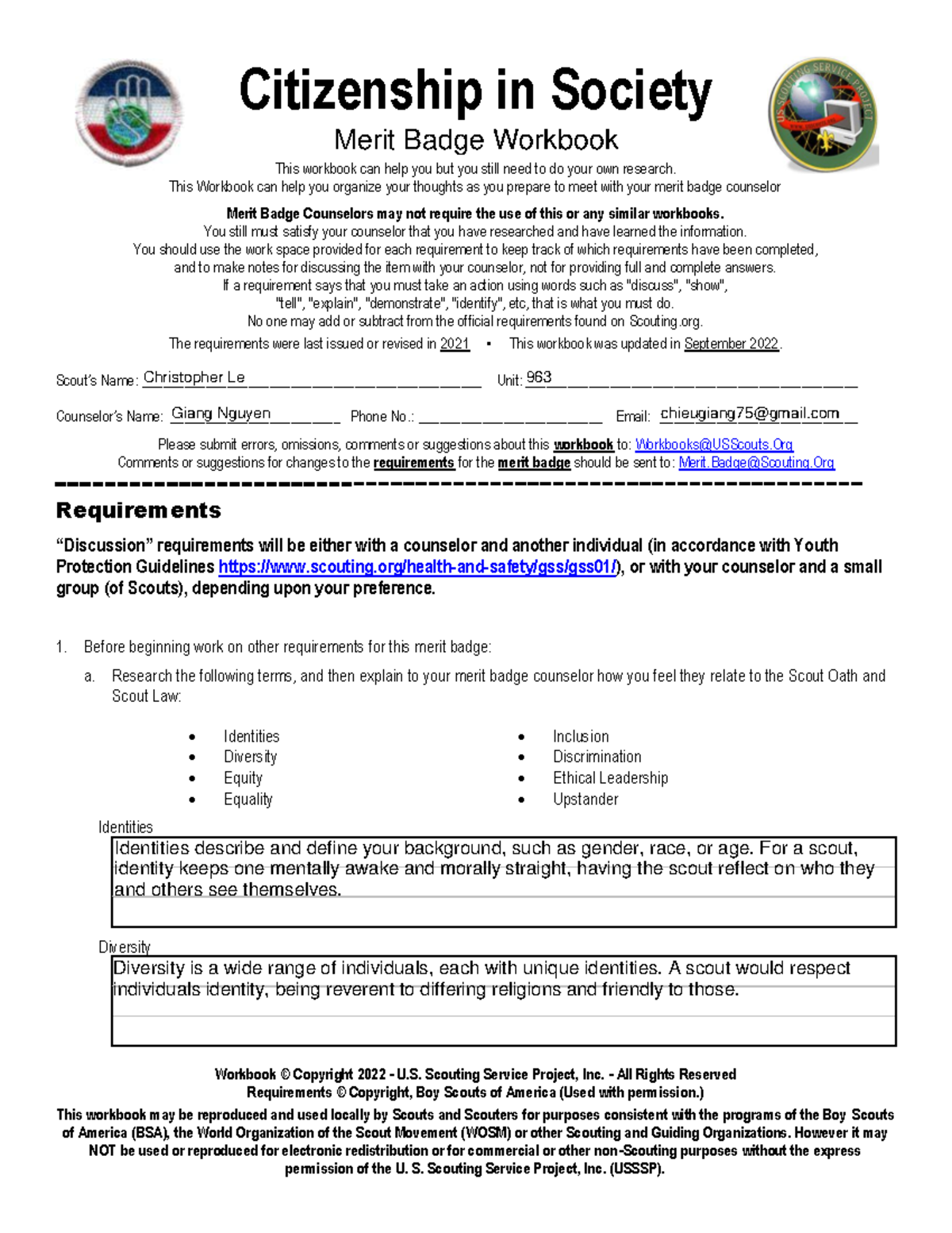 Citizenship In Society ODD Citizenship In Society Merit Badge 