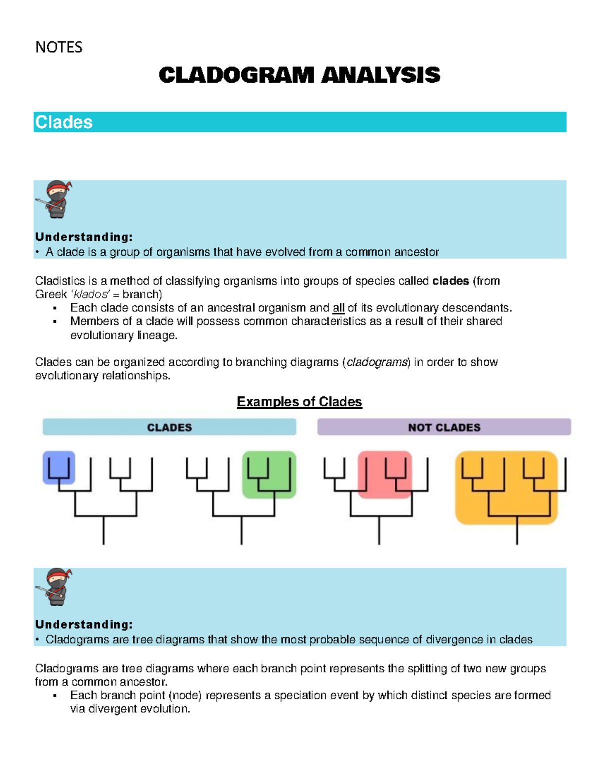 cladogram analysis worksheet