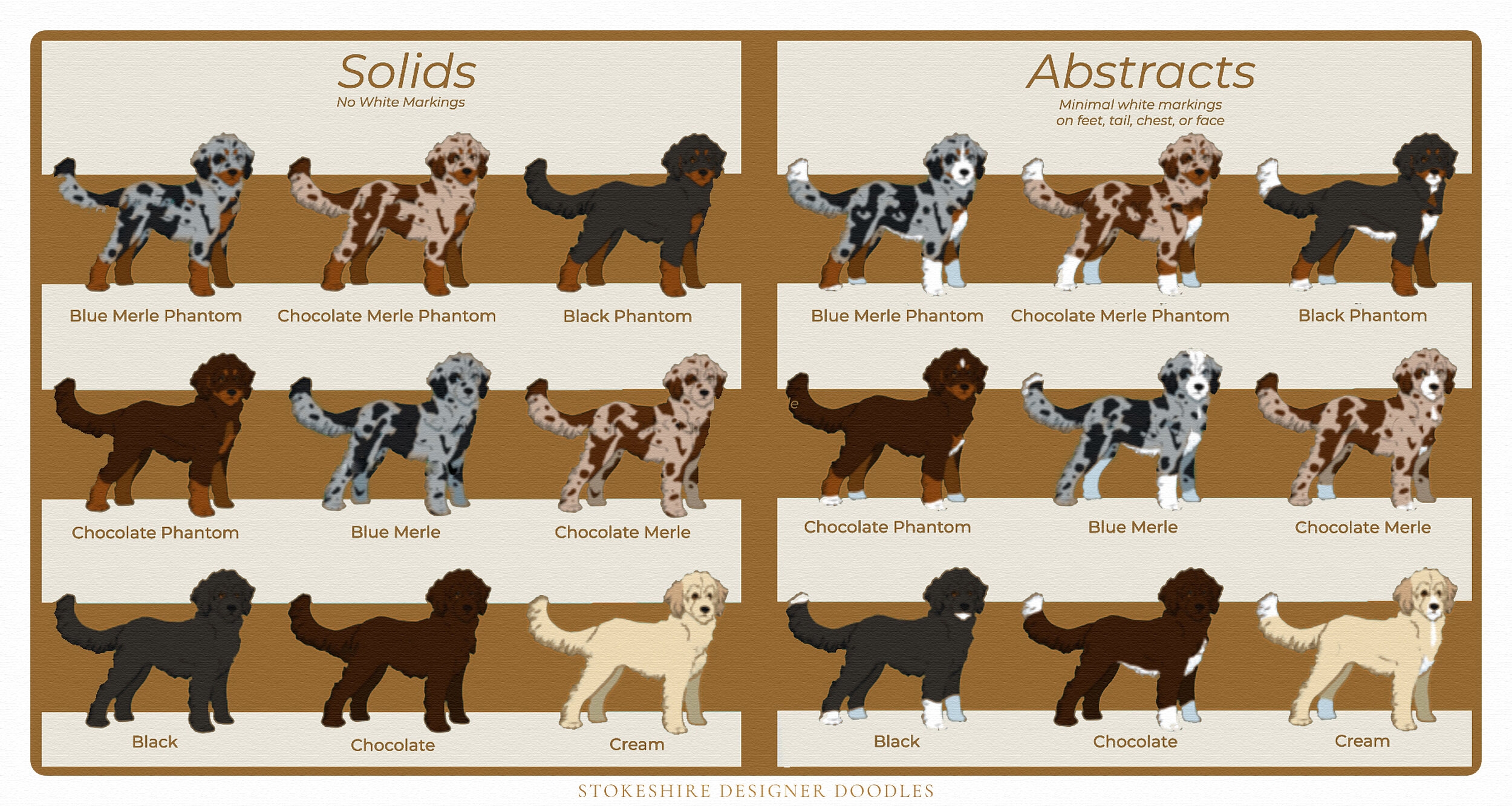 dog coat color genetics