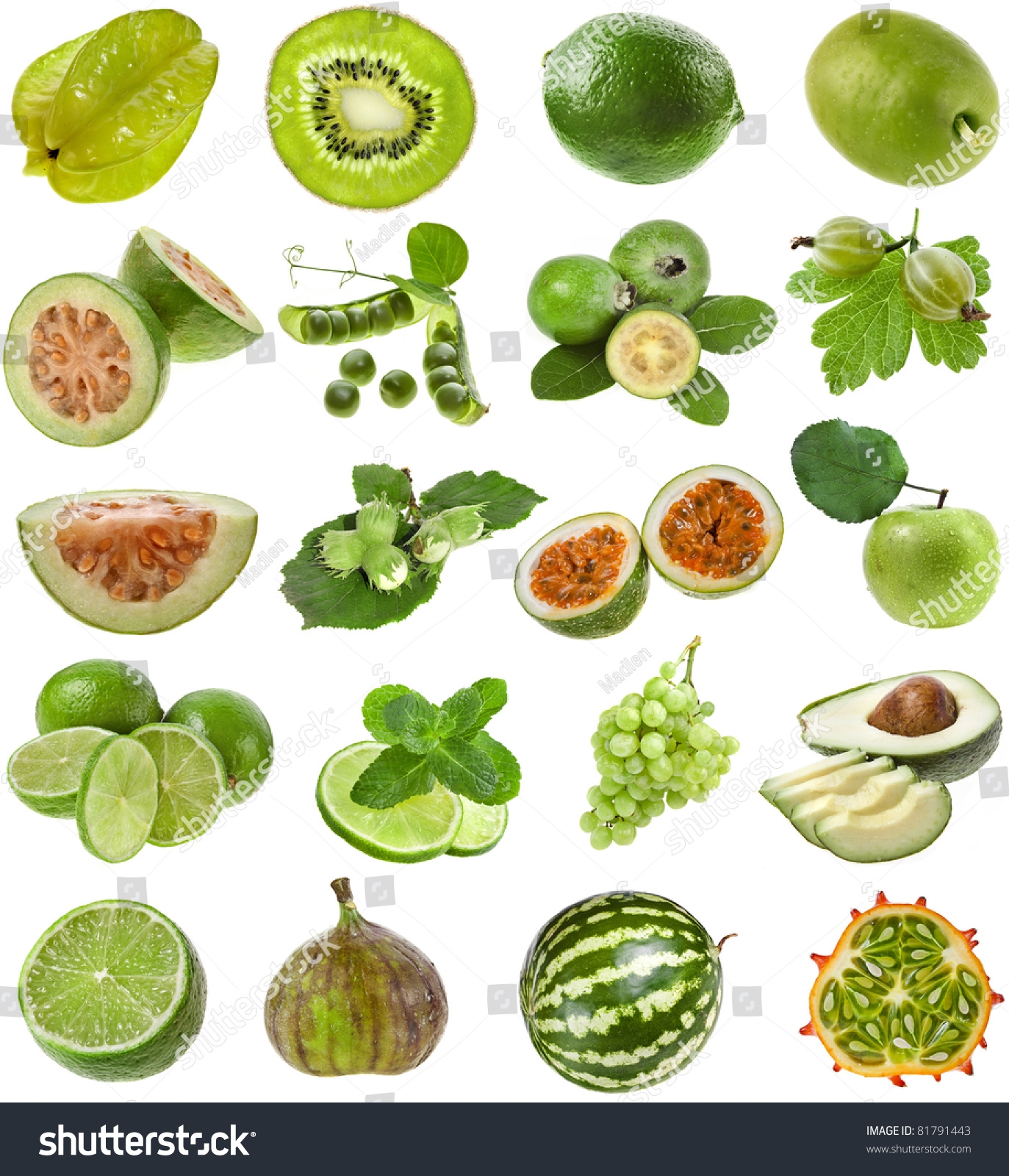 Collection Set Green Color Fresh Fruits Stock Photo 81791443 Shutterstock