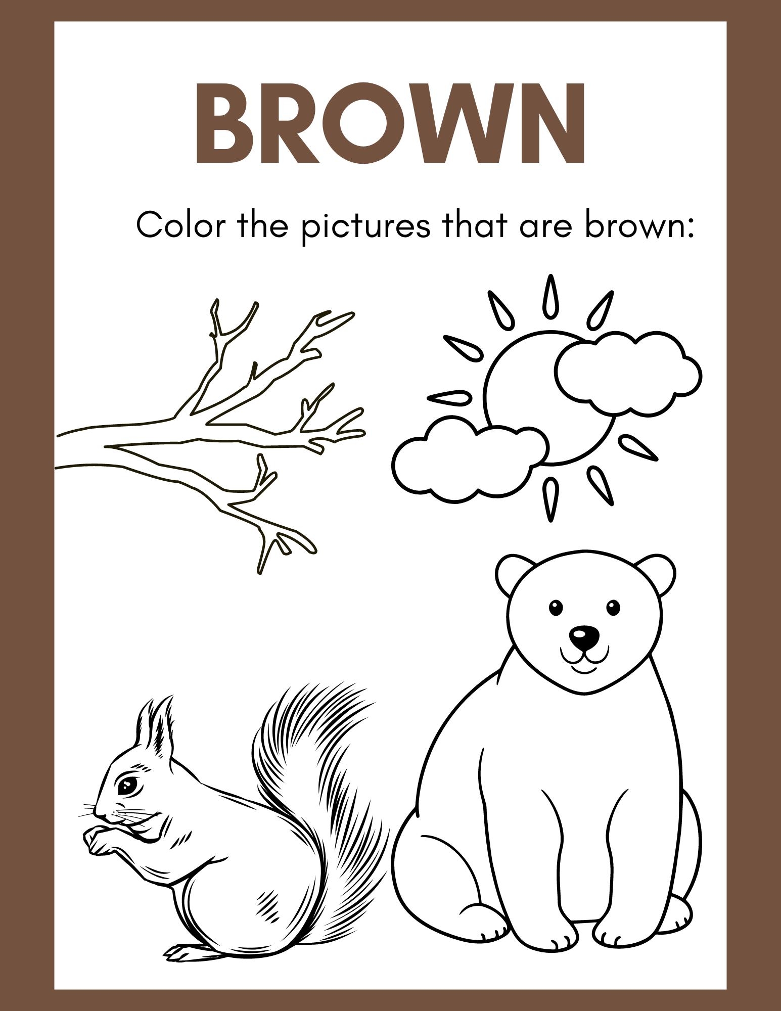 Color And Learn Fun Activity For Preschoolers Etsy