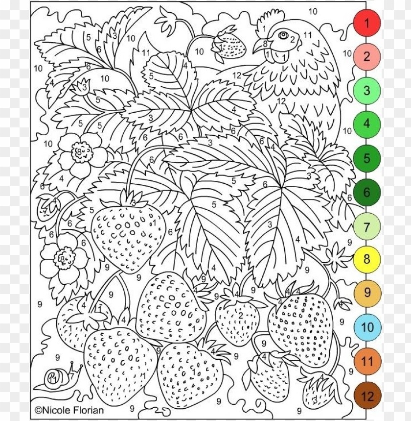 Color By Number Coloring Pages For Adults Transparent PNG PNG Transparent With Clear Background ID 106761 TOPpng