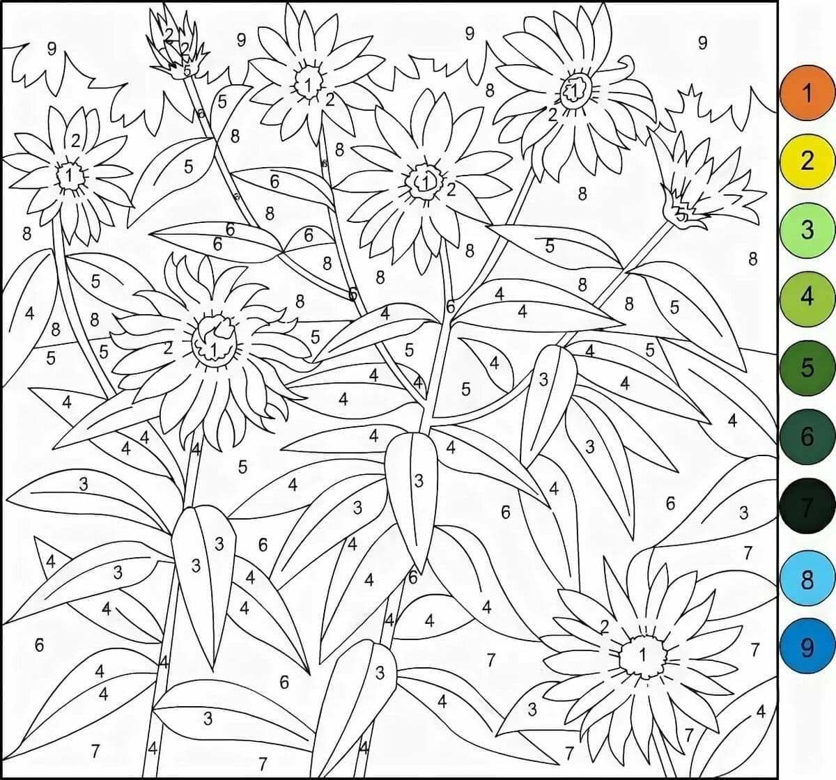 printable color by number for adults