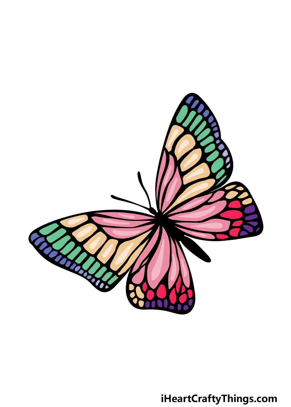 colorful butterfly pictures