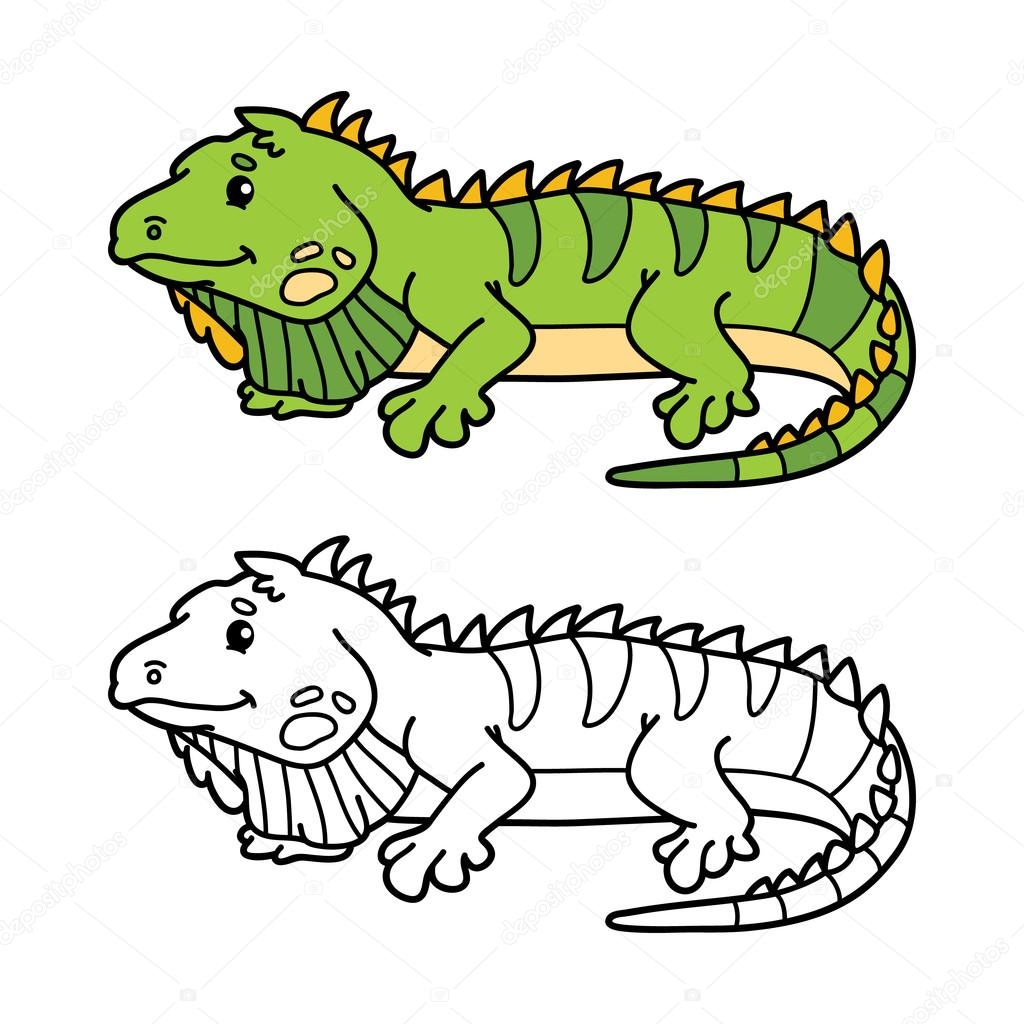 coloring pictures of iguanas