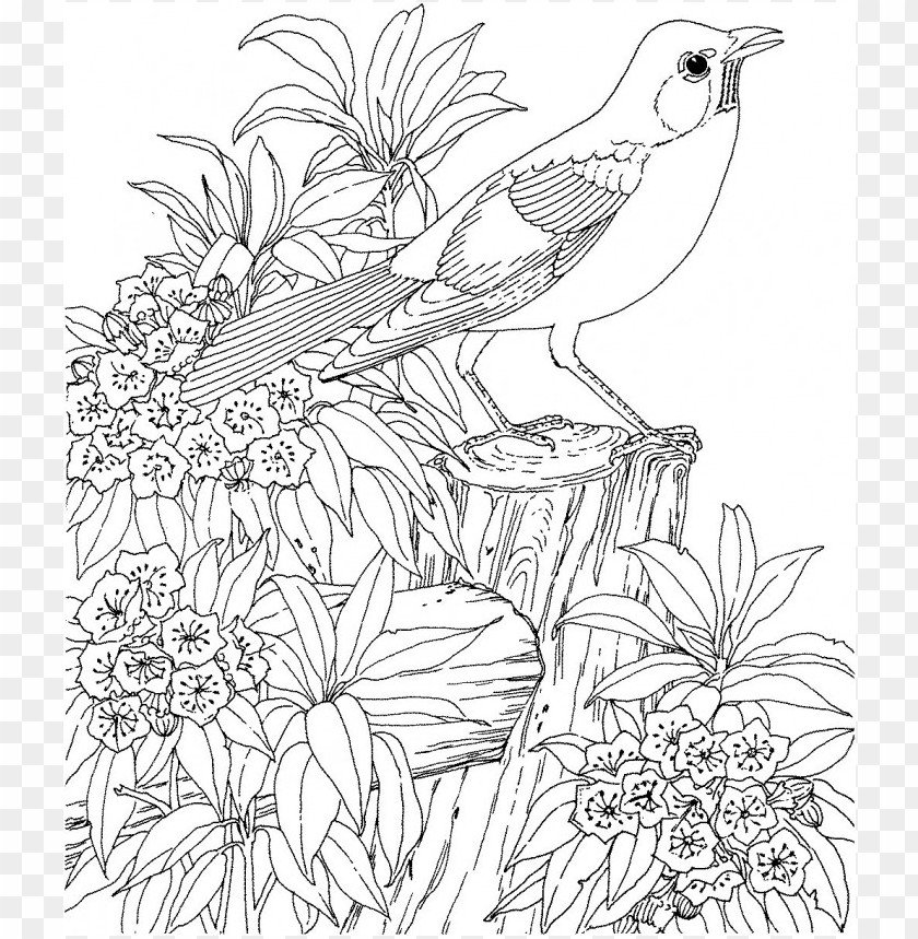 Coloring Pages For Teenagers Difficult Color By Number PNG Transparent With Clear Background ID 106786 TOPpng