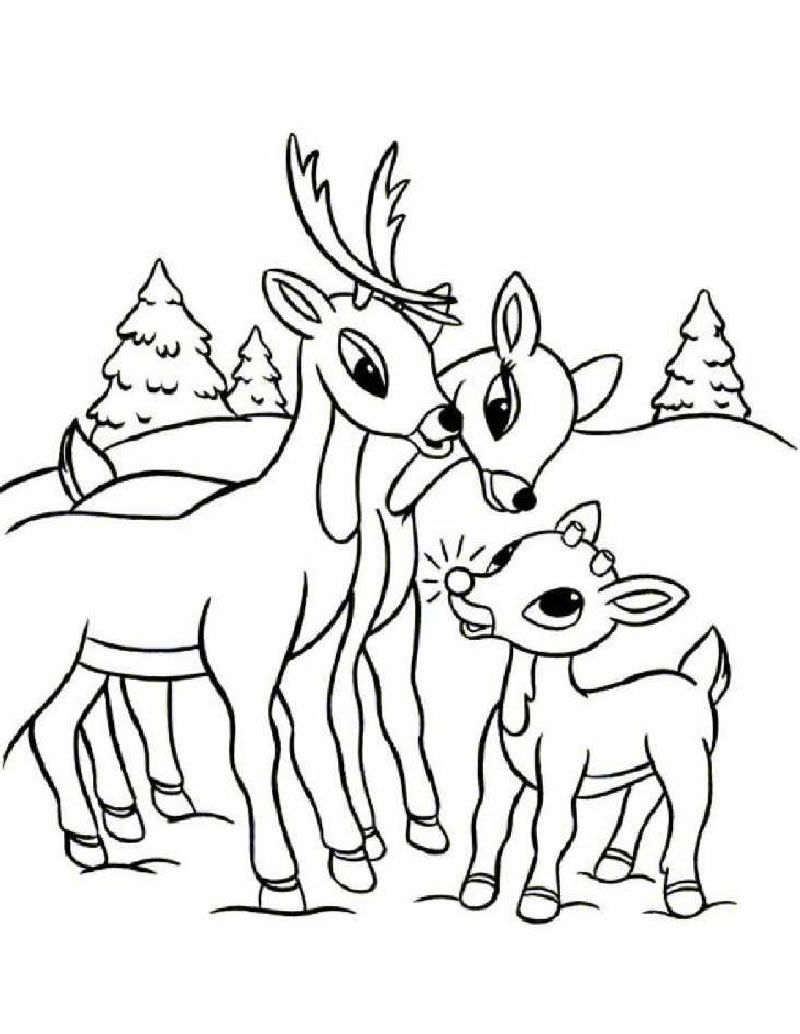 Coloring Pages Free Printable Reindeer Coloring Pages For Kids 