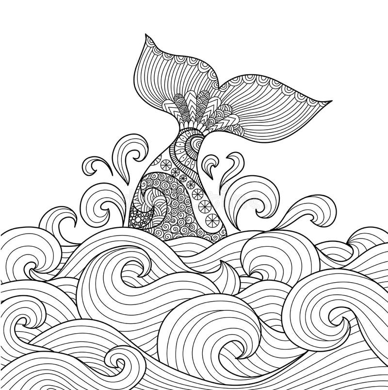 Coloring Pages Whale Stock Illustrations 327 Coloring Pages Whale Stock Illustrations Vectors U0026 Clipart Dreamstime