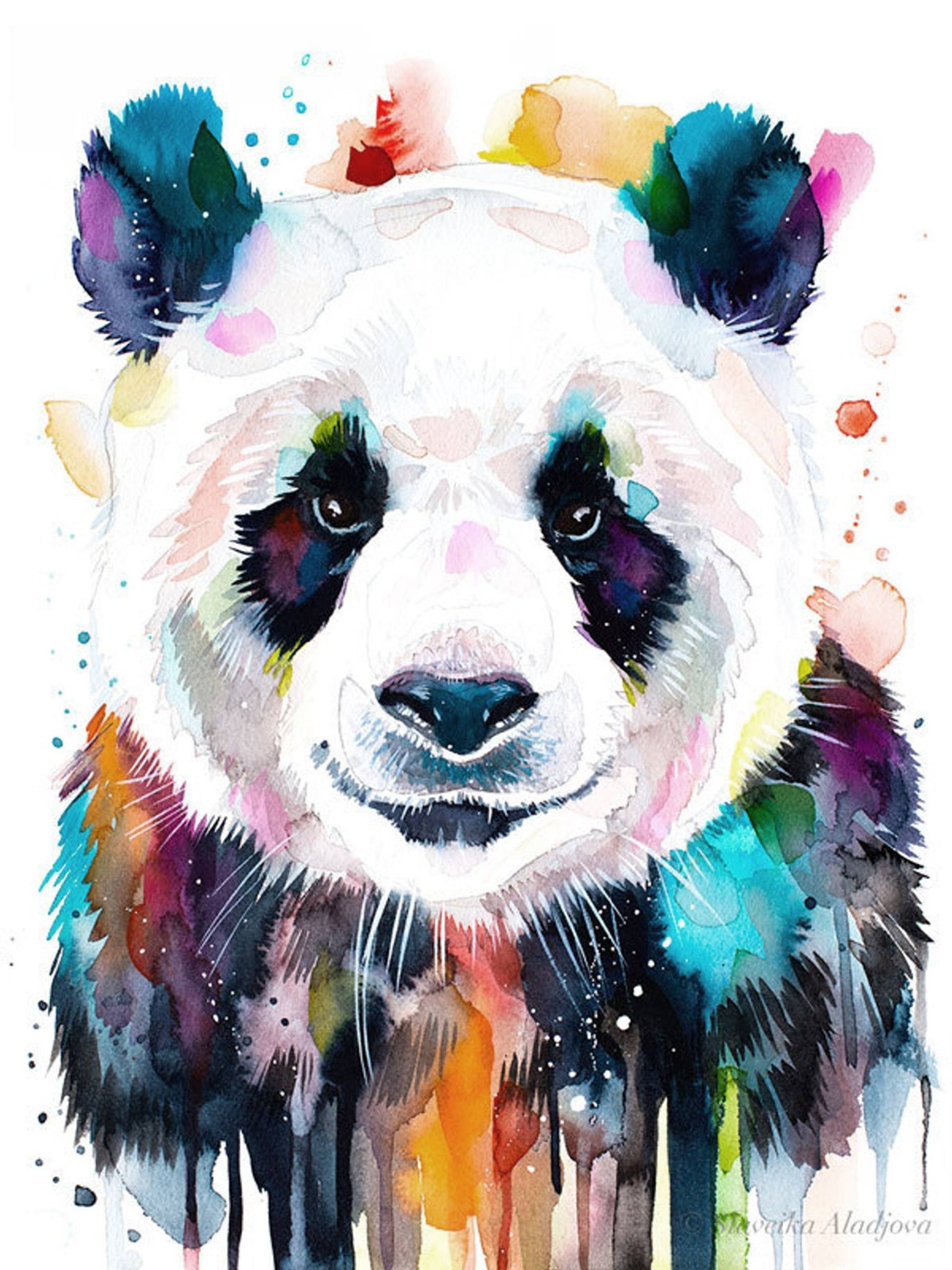 color panda art academy