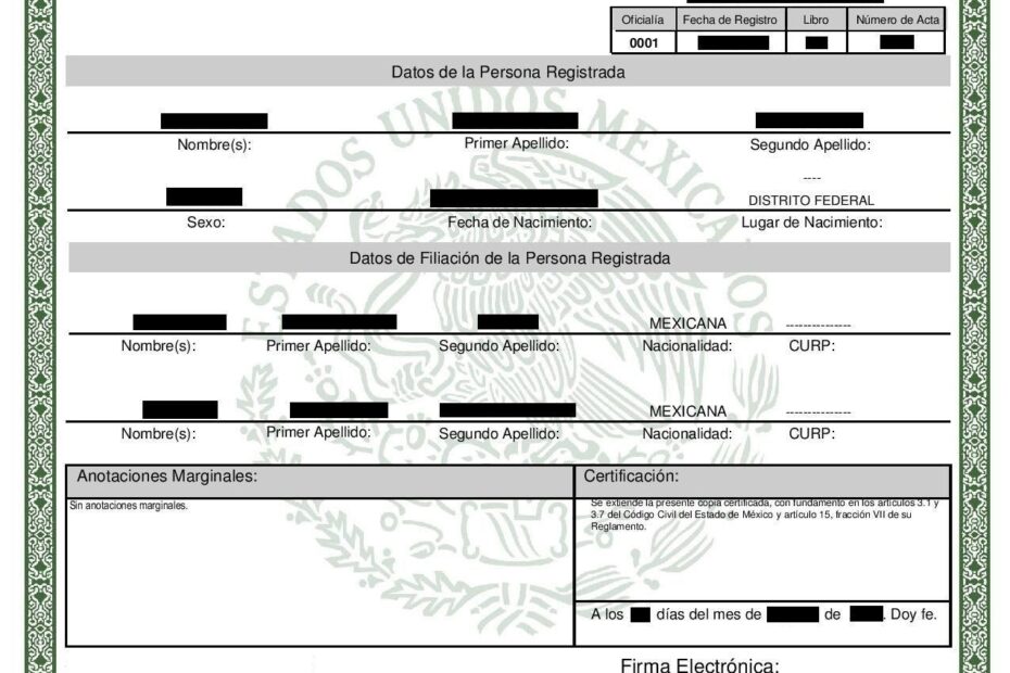 Comprehensive 5 Step Guide To USCIS Birth Certificate Translation