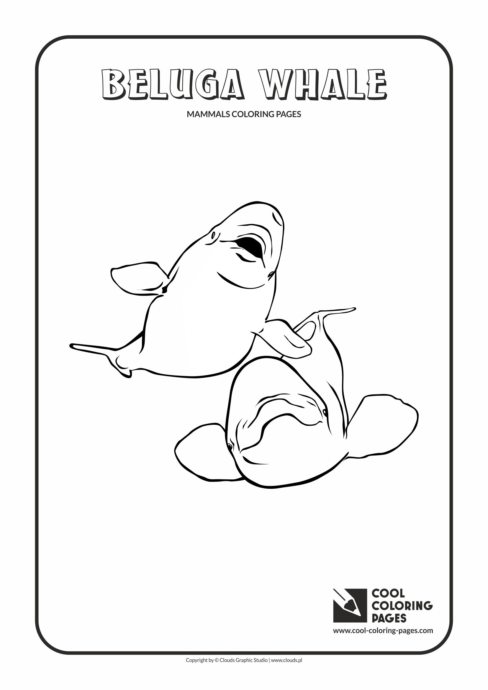 Cool Coloring Pages Beluga Whale Free Coloring Page Archives 