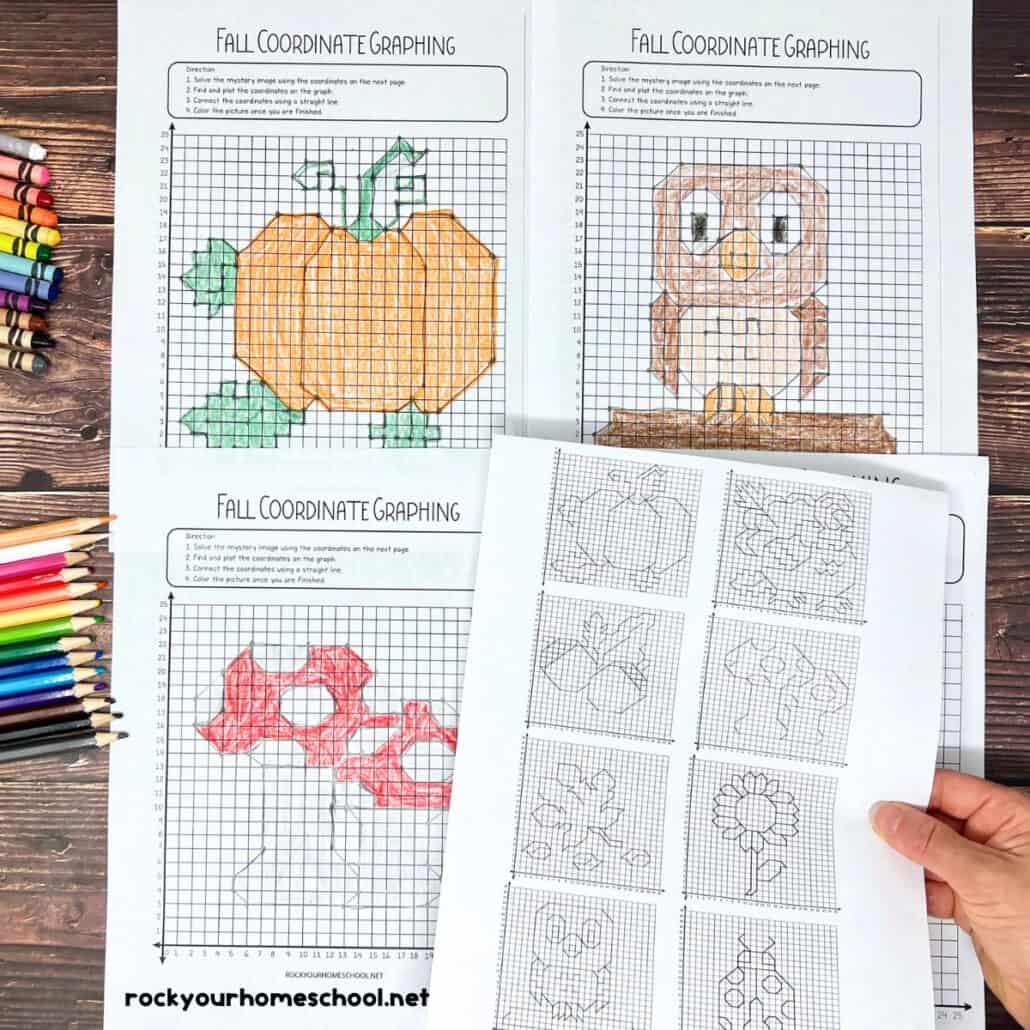 Coordinate Graphing Pictures How To Use For Fall Fun Free Rock 