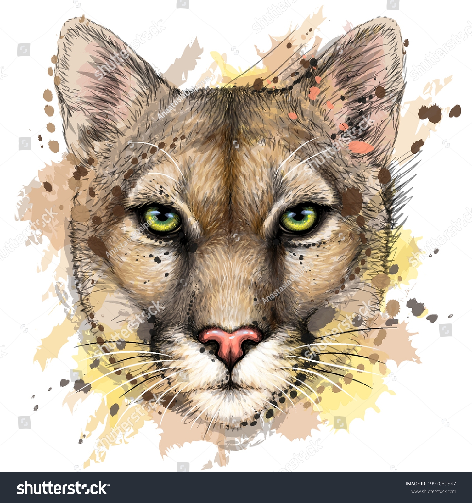 Cougar Color Portrait Mountain Lion On Stock Vector Royalty Free 