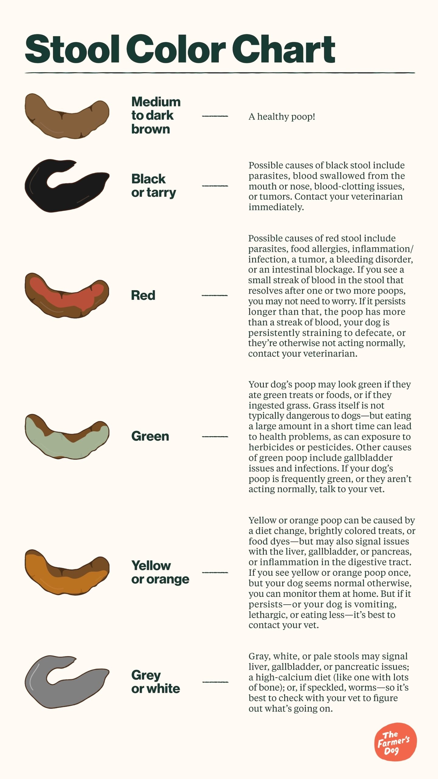 Decoding Your Dog s Poop
