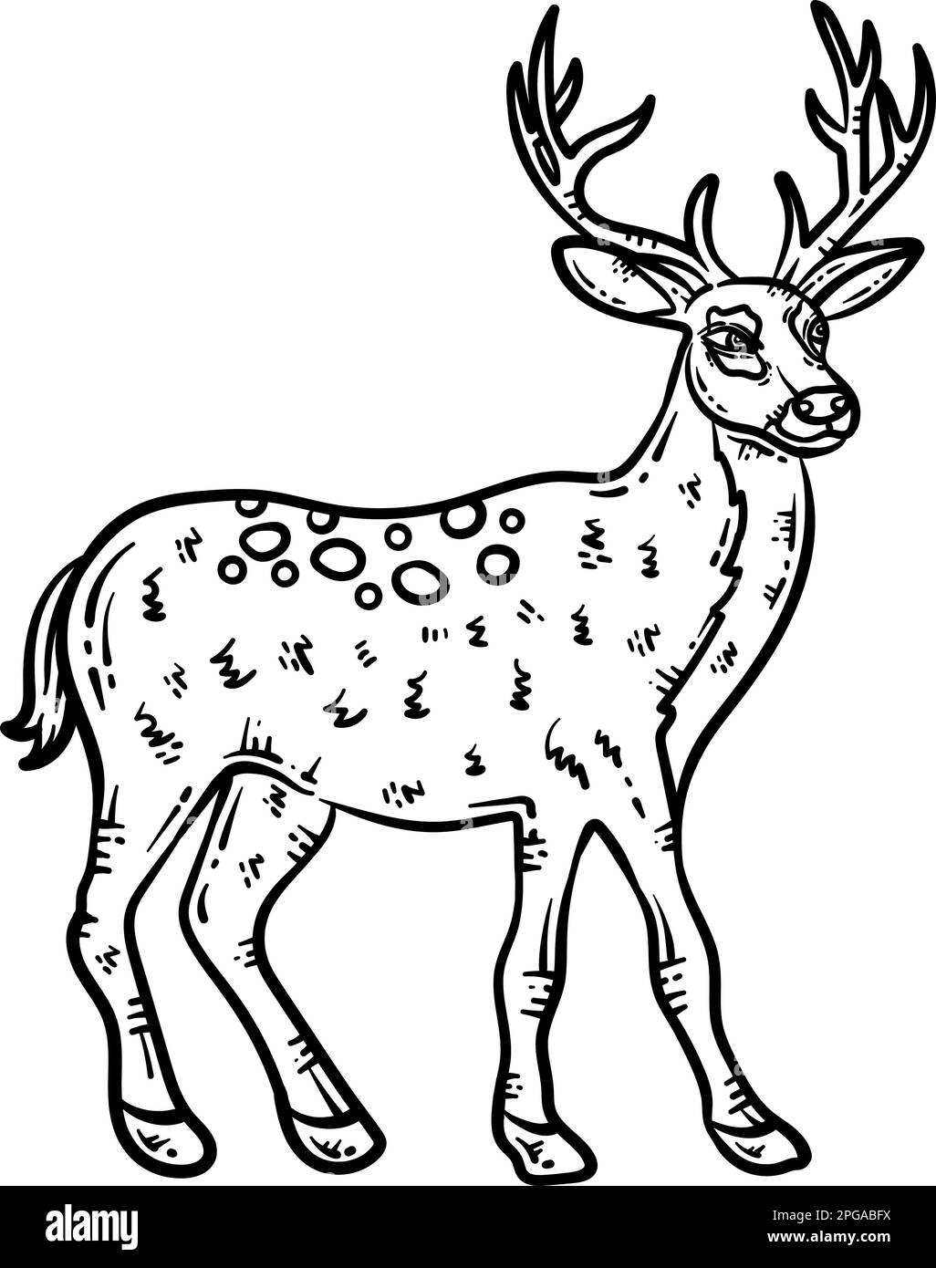 Deer Animal Coloring Page For Adult Stock Vector Image U0026 Art Alamy
