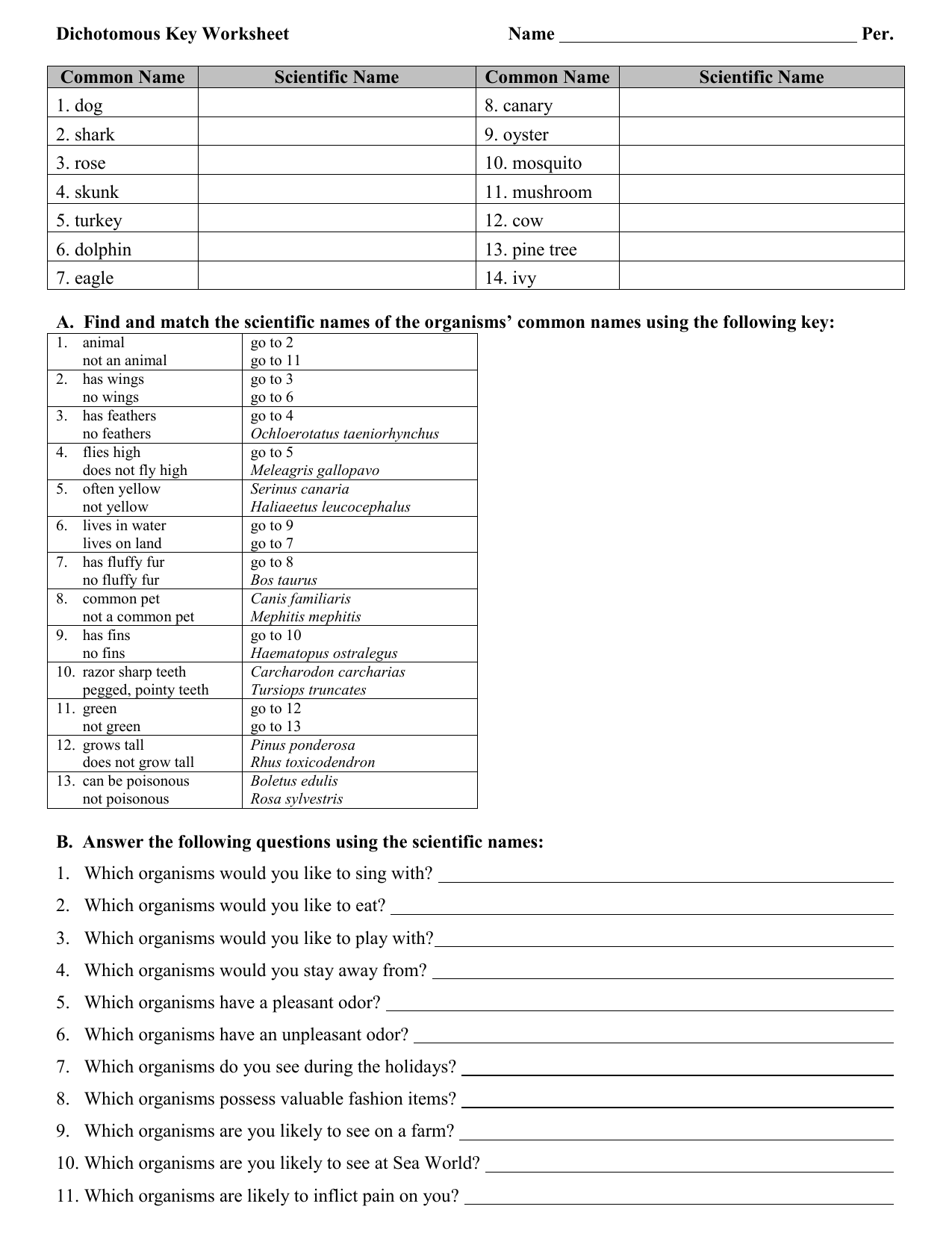 dichotomous key worksheet