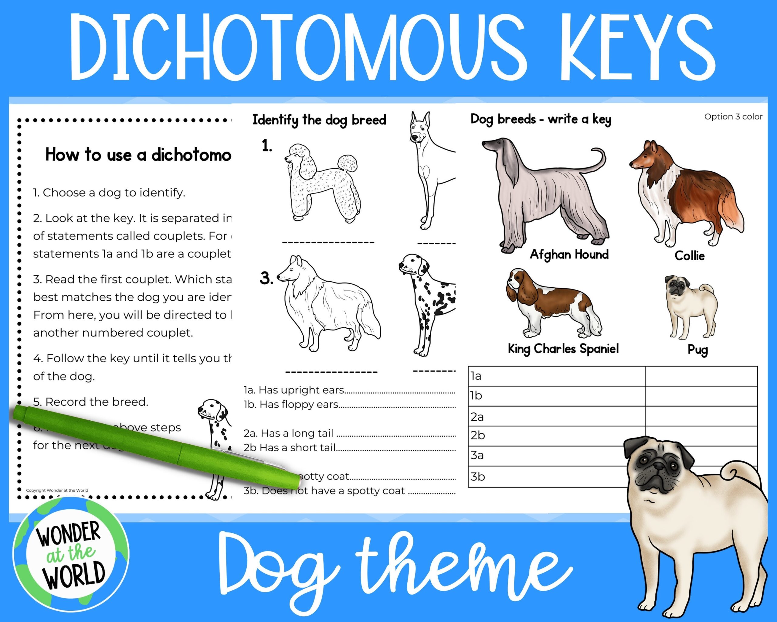 Dichotomous Keys Activities Worksheets For Elementary Or Primary 