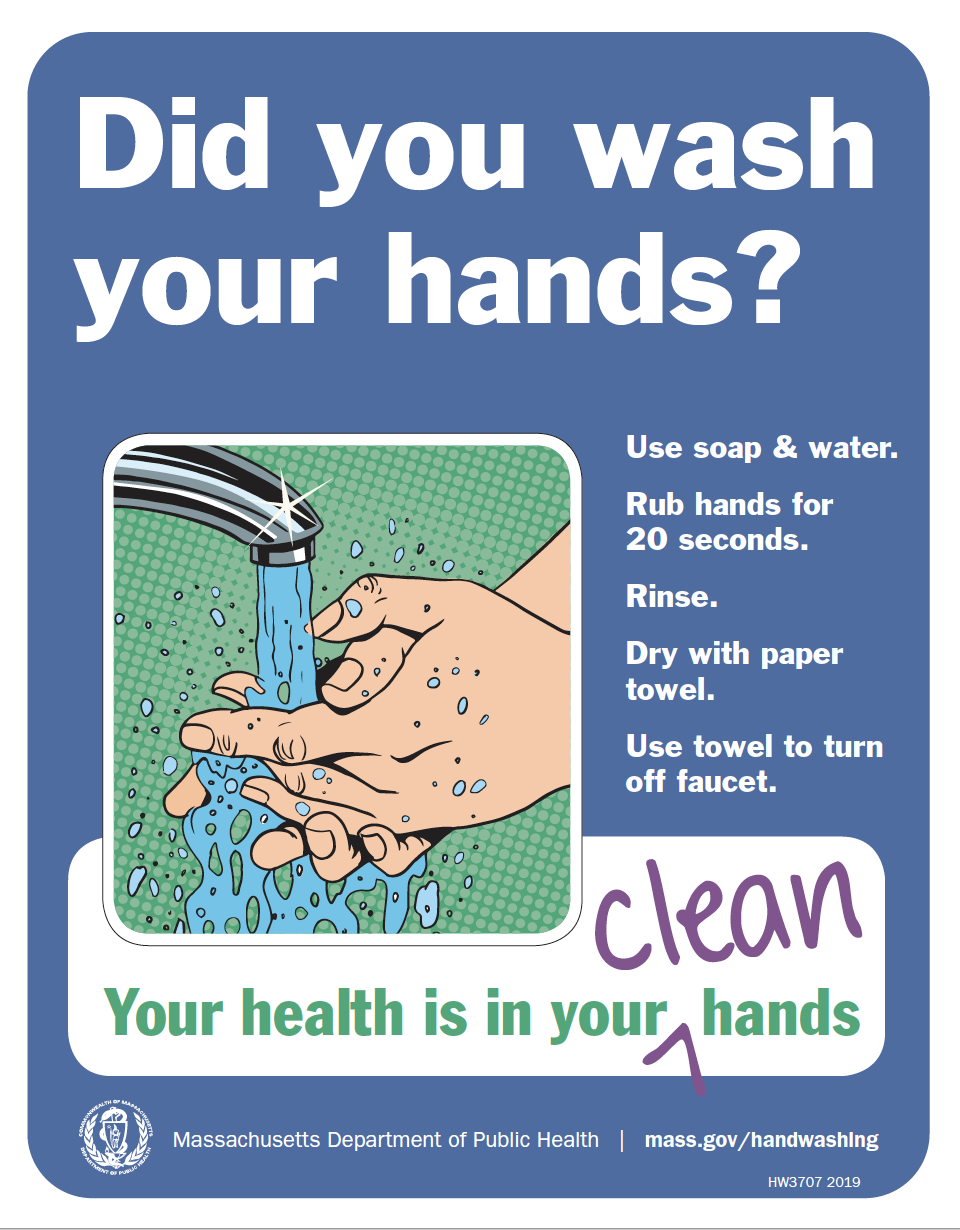 Did You Wash Your Hands Poster Multiple Languages 