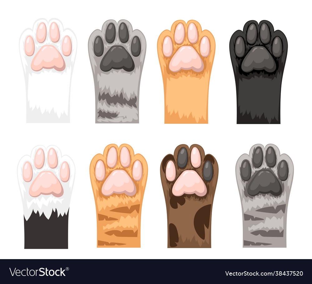 Different Color Cat Paws Icon Collection Cute Vector Image