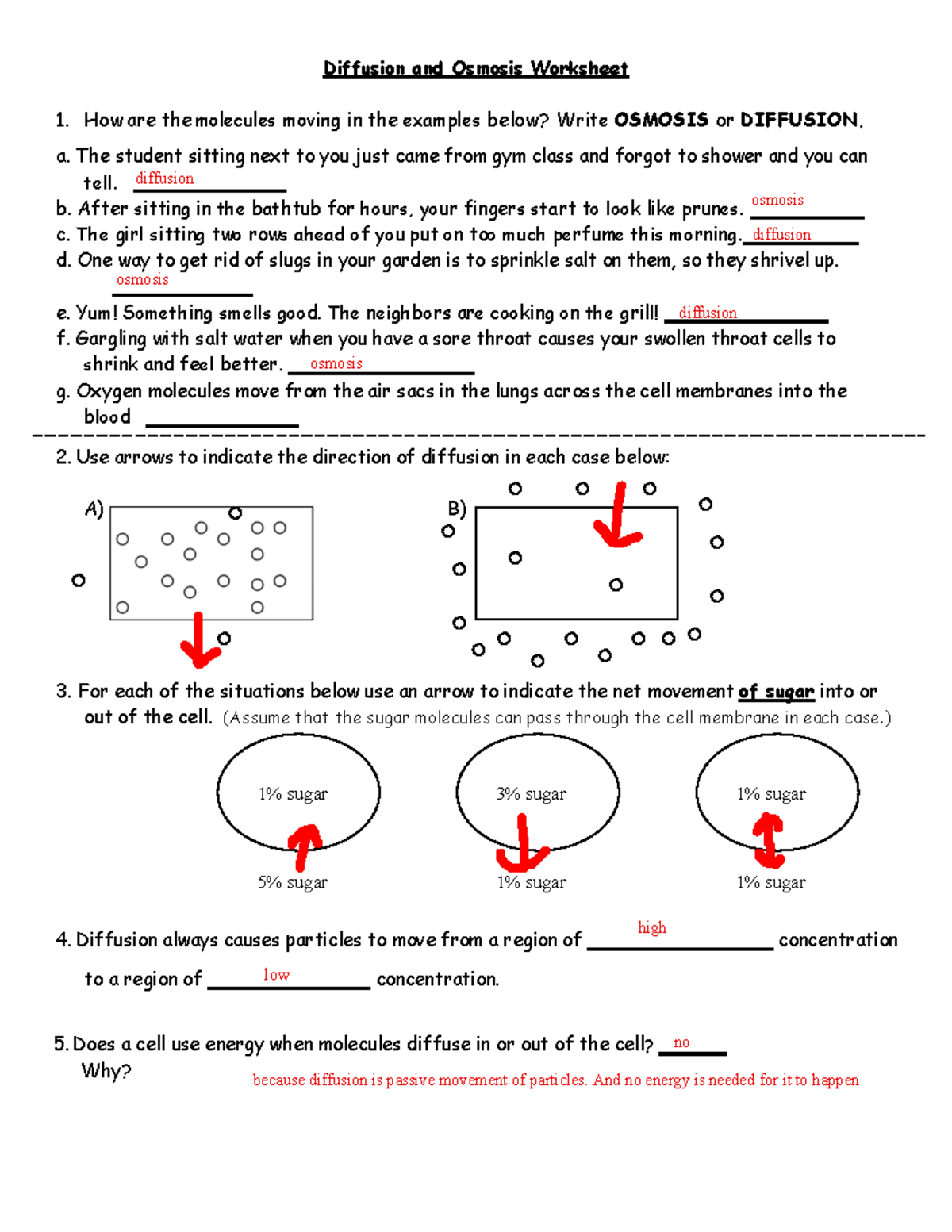 osmosis worksheet