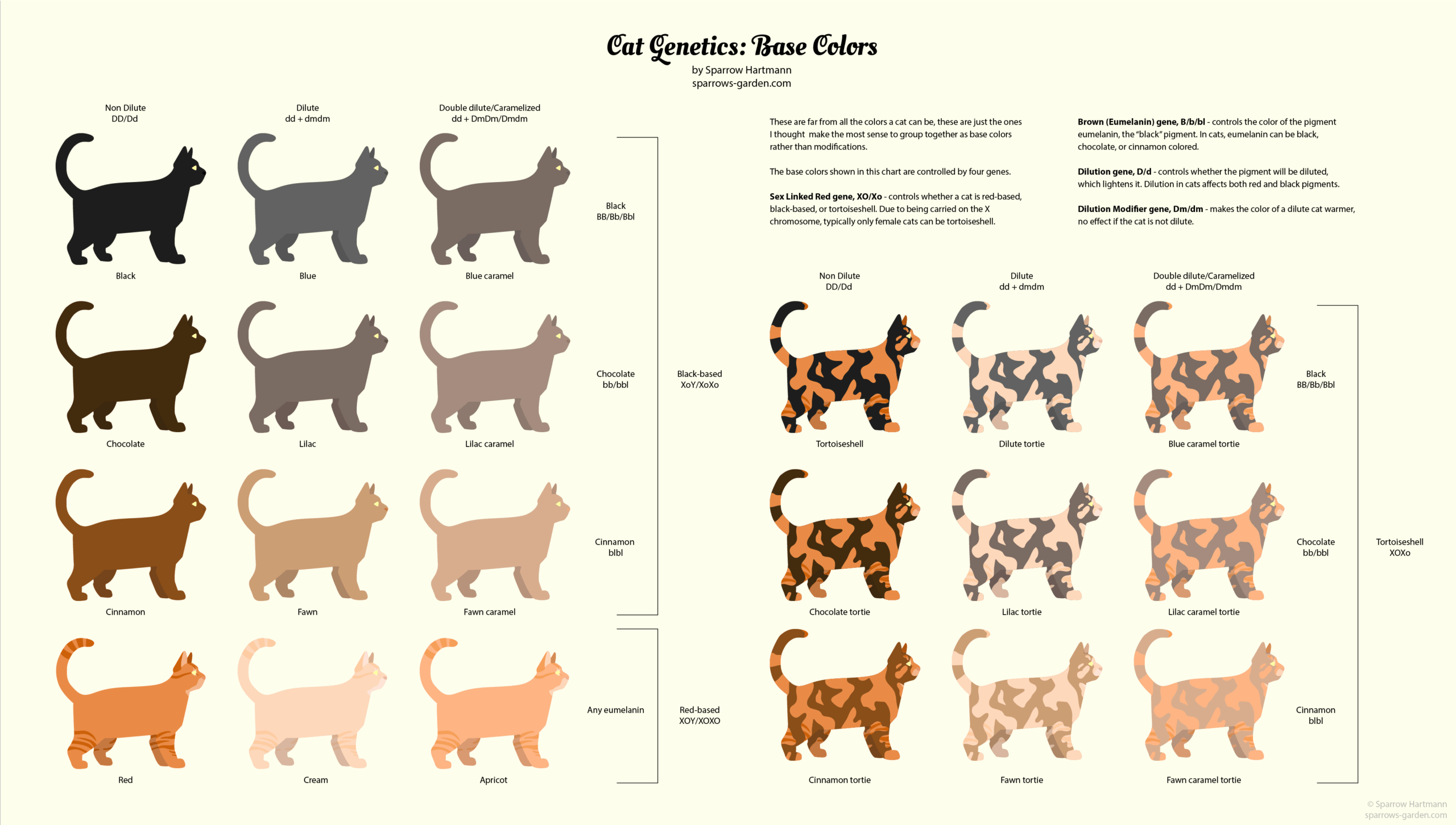 cat color genes