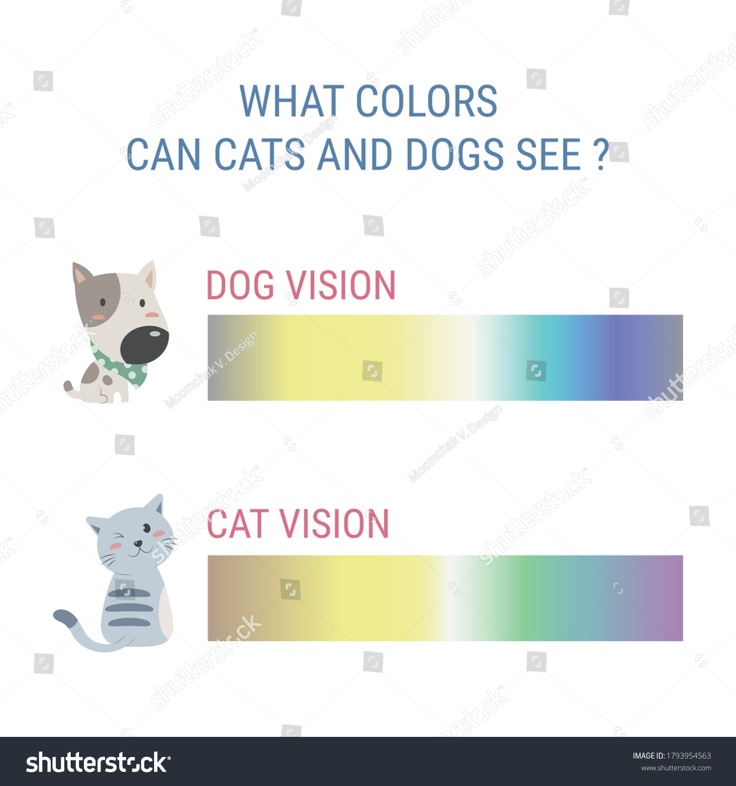 cat color vision