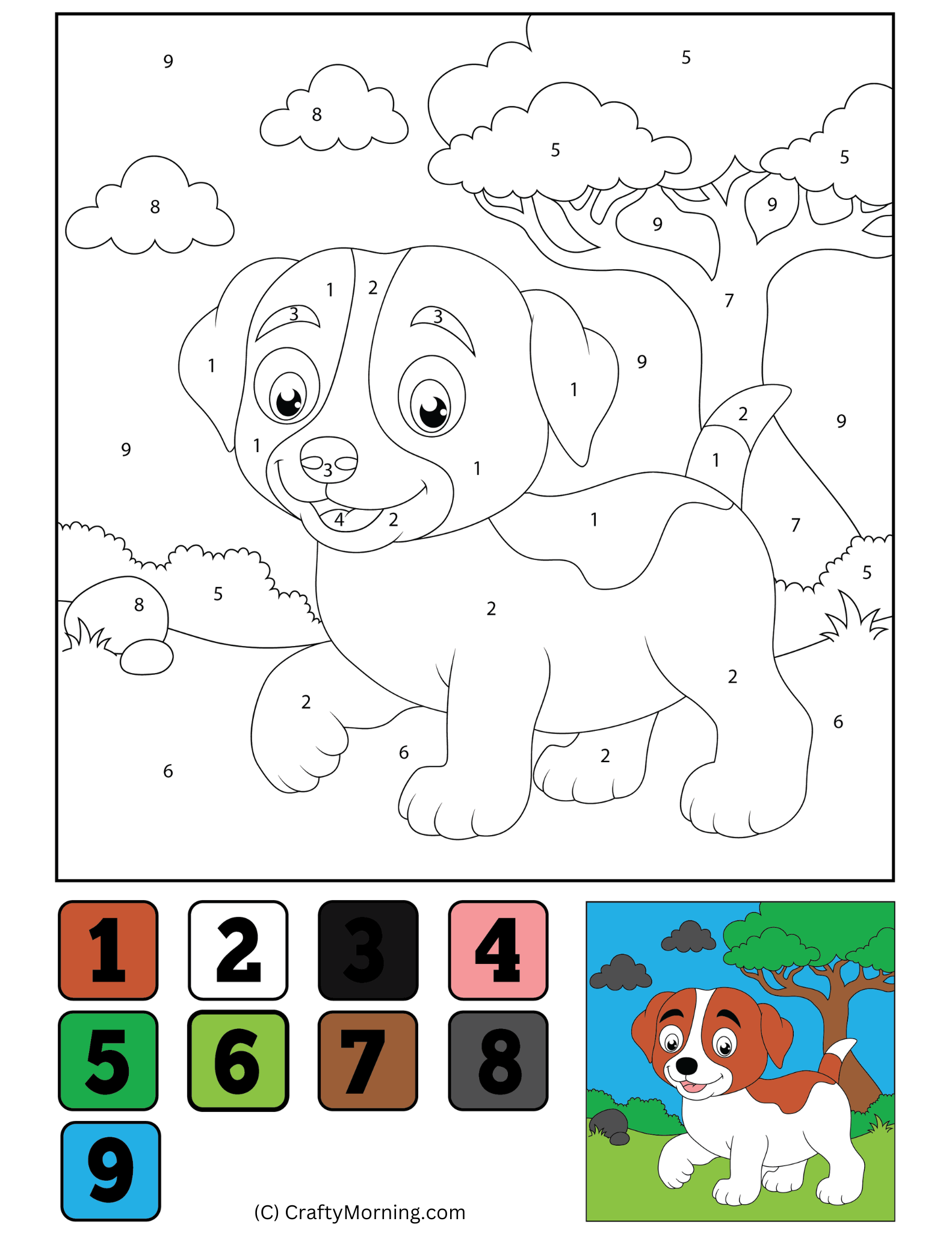 dog color images