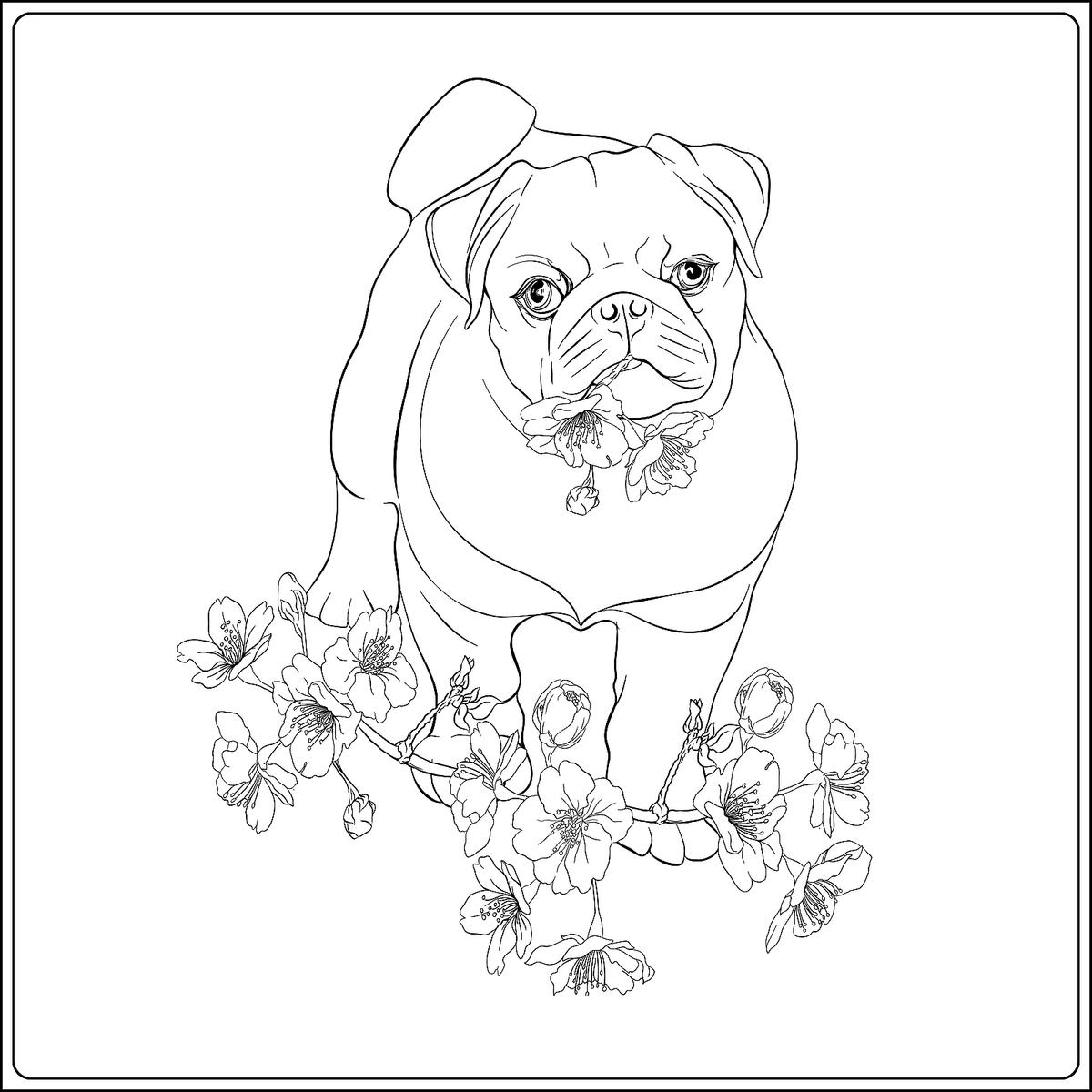 colouring pages dogs free printable