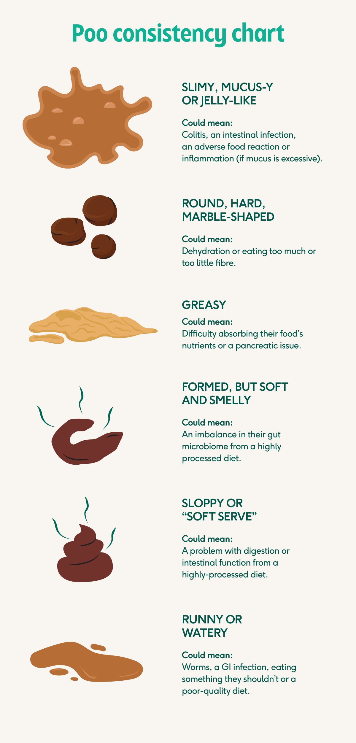 Dog Poo Decoded Colour Consistency And Smell vet Approved Guide 