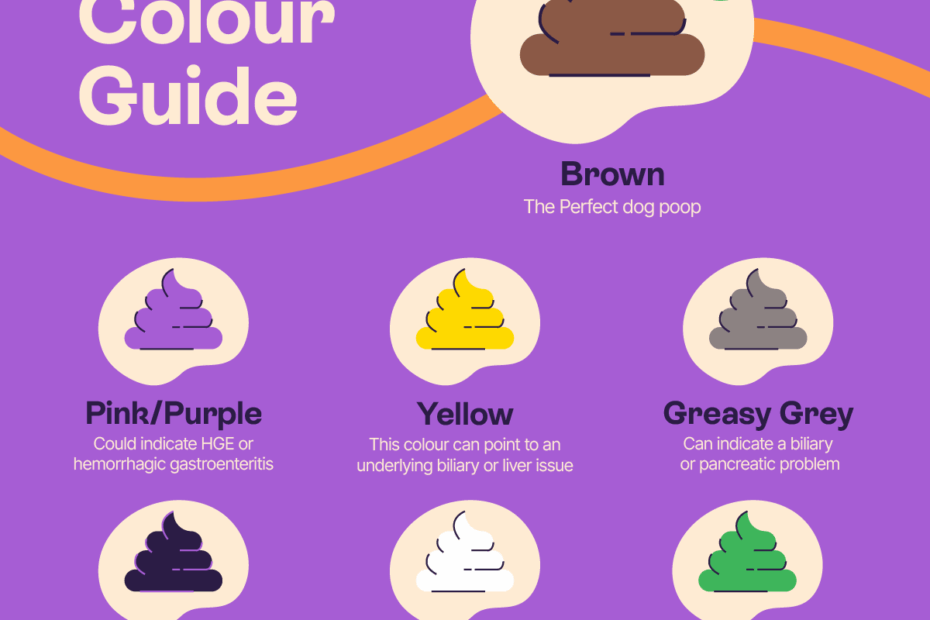 Dog Poop Color Chart What s Normal Pet Drugs Online