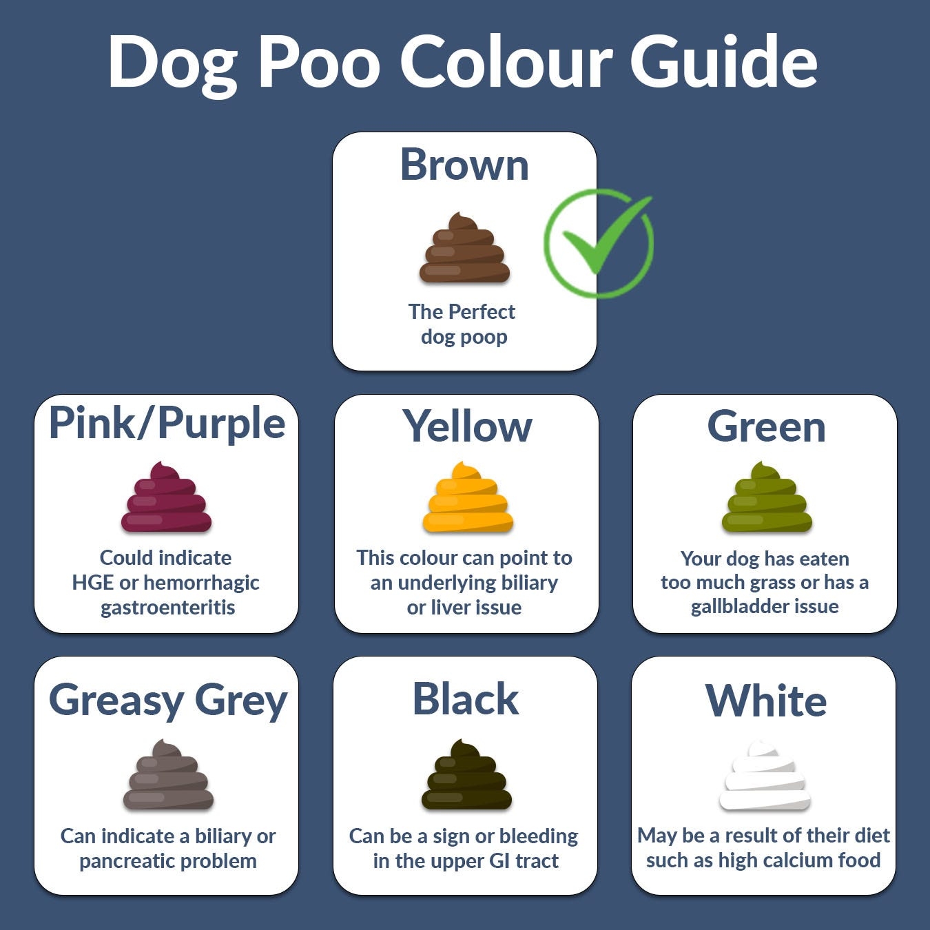 Dogs Poop Is Green And Runny Hotsell
