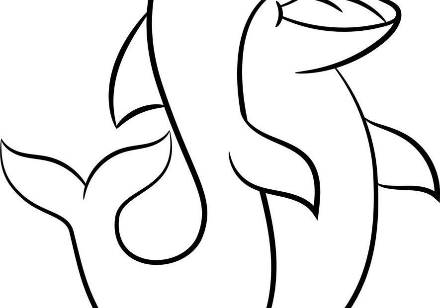 Dolphin Coloring Book Royalty Free Vector Image
