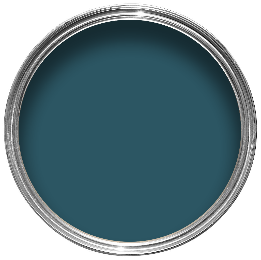 dolphin blue color