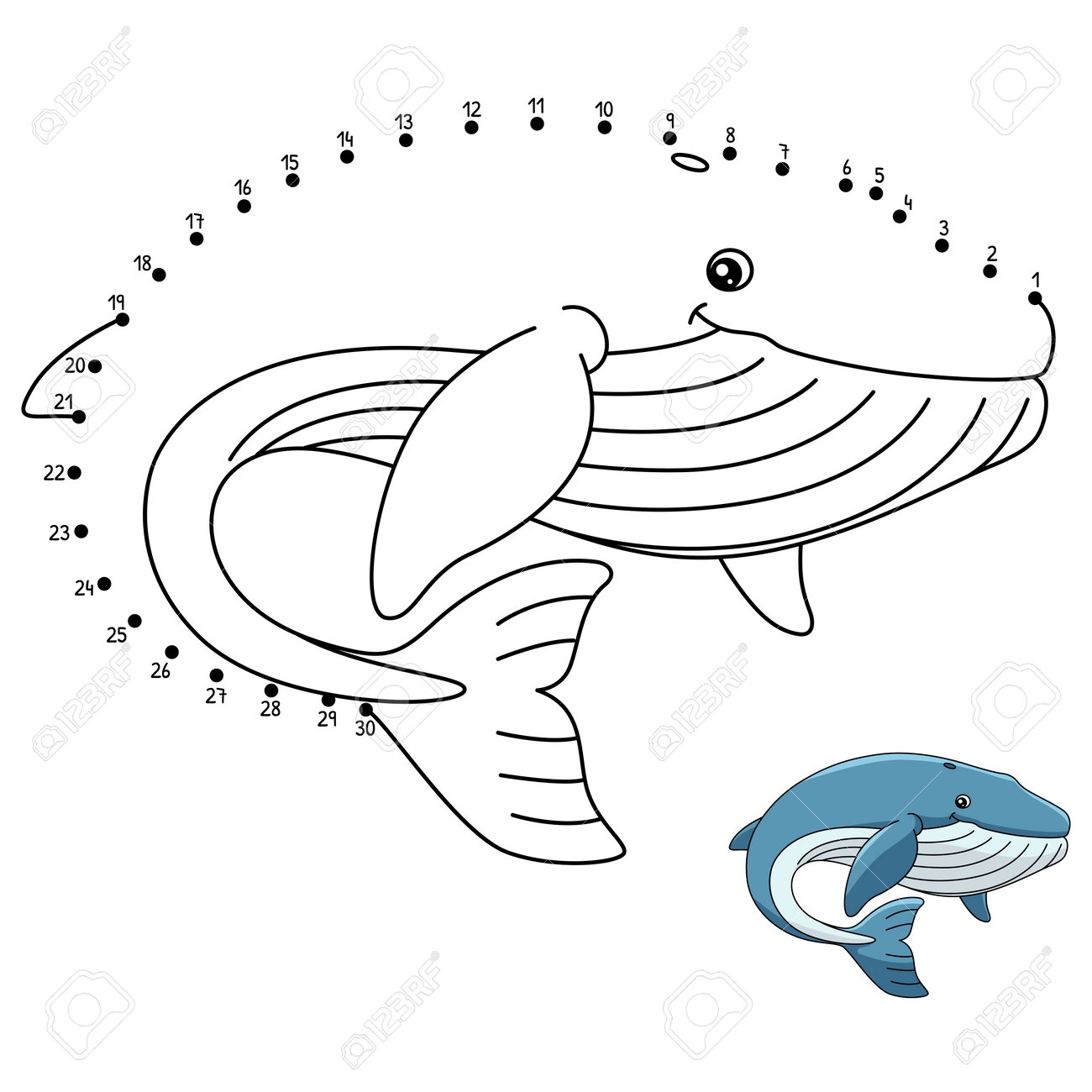 Dot To Dot Blue Whale Coloring Page For Kids Royalty Free SVG Cliparts Vectors And Stock Illustration Image 191145834 