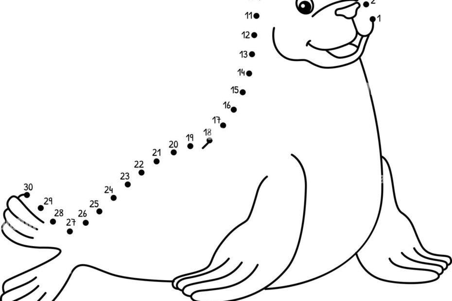 Dot To Dot Seal Coloring Page For Kids Stock Vector Image U0026 Art Alamy