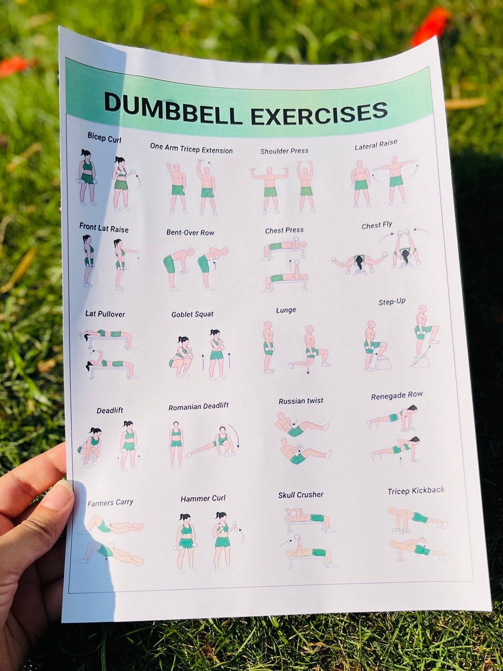 Dumbbell Workout Dumbbell Workout Chart Dumbbell Exercises 