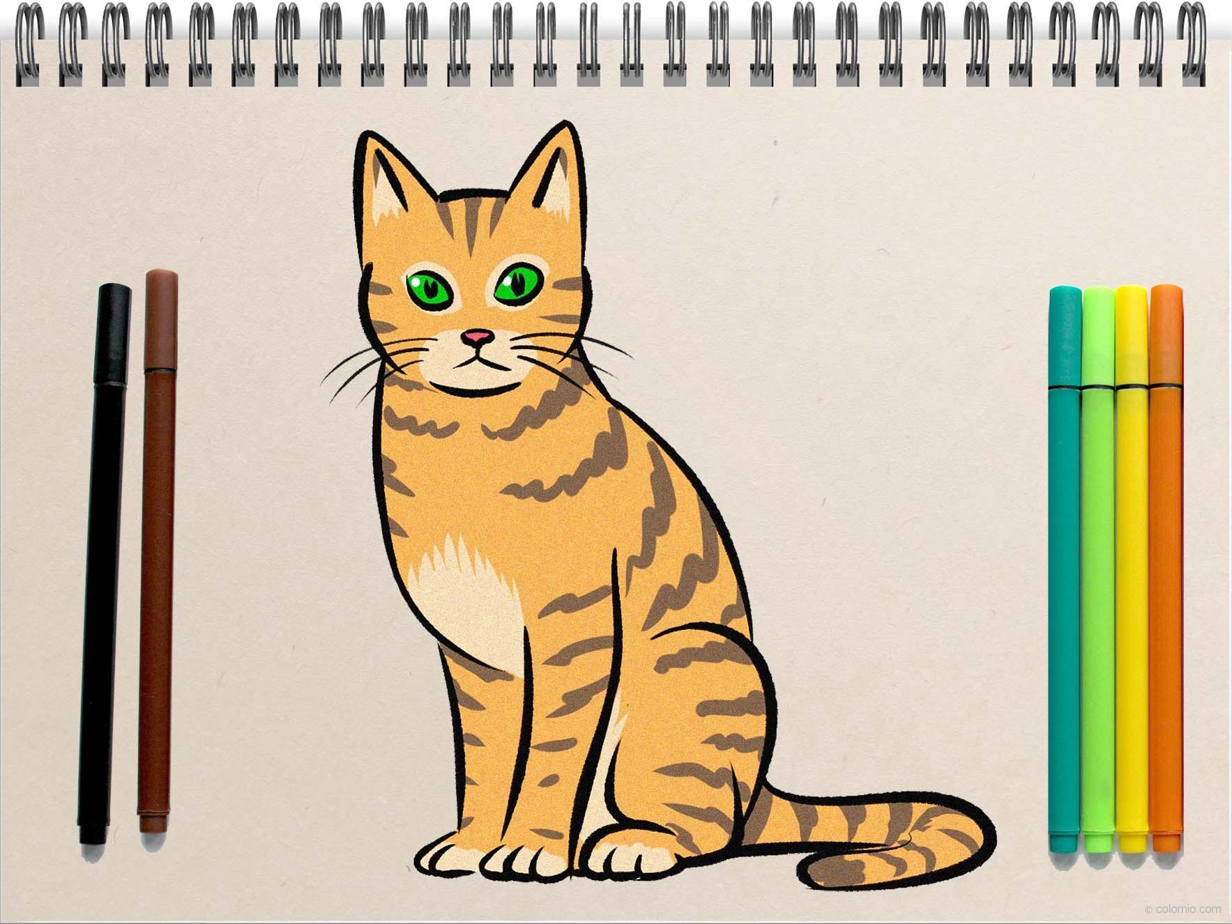Easy Cat Drawing Ideas How To Draw A Cat Step By Step
